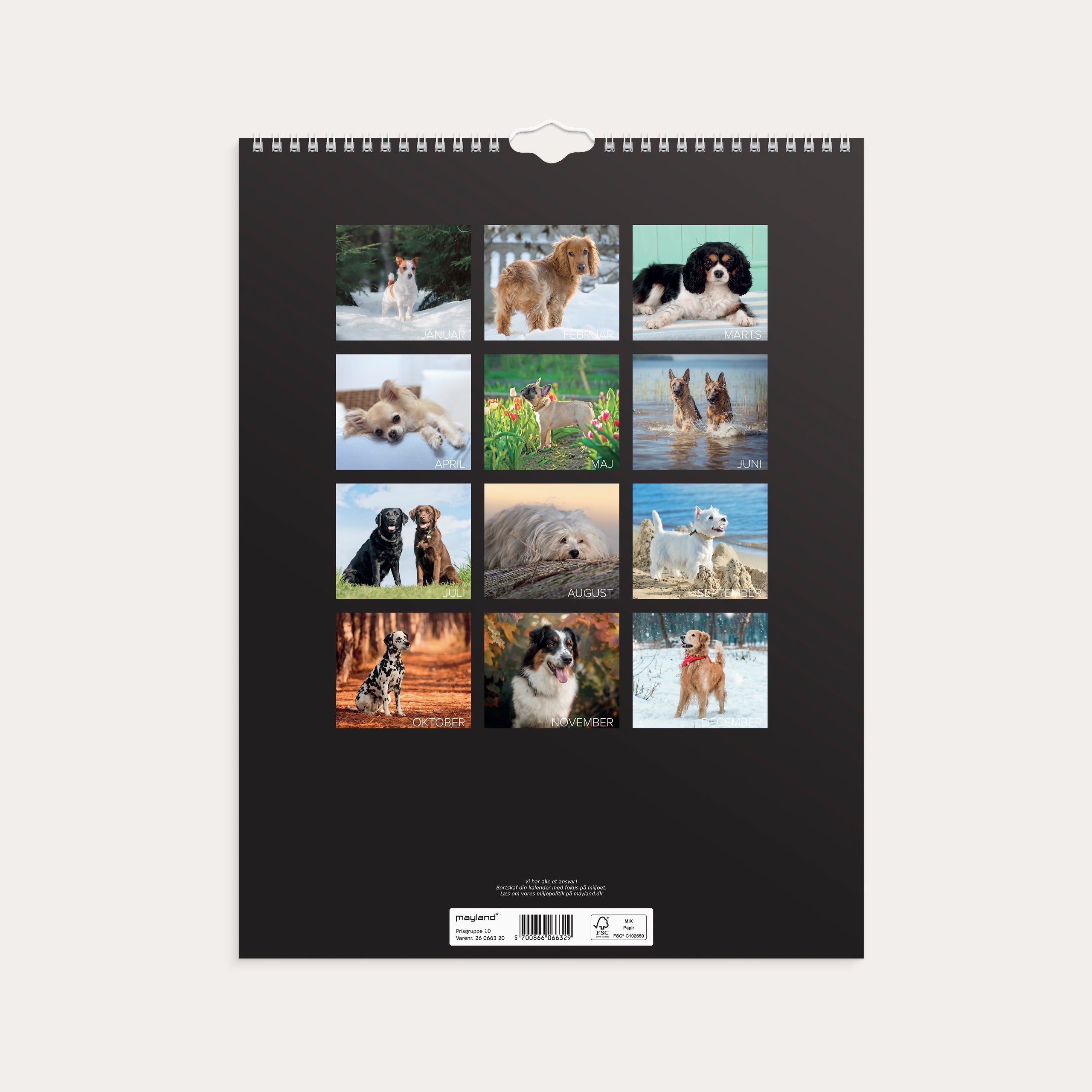 Vægkalender Hunde 2026