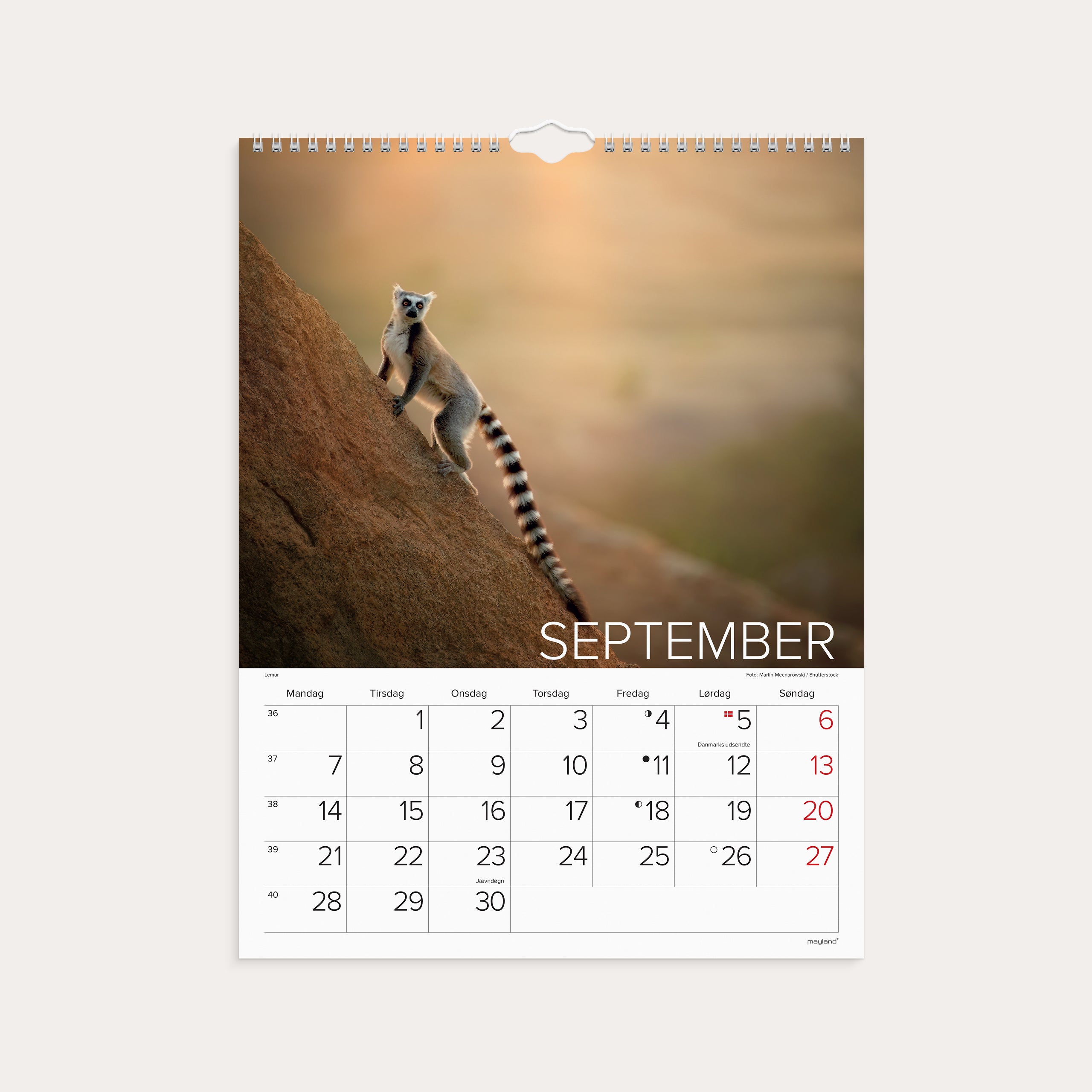 Vægkalender Verdens dyr 2026