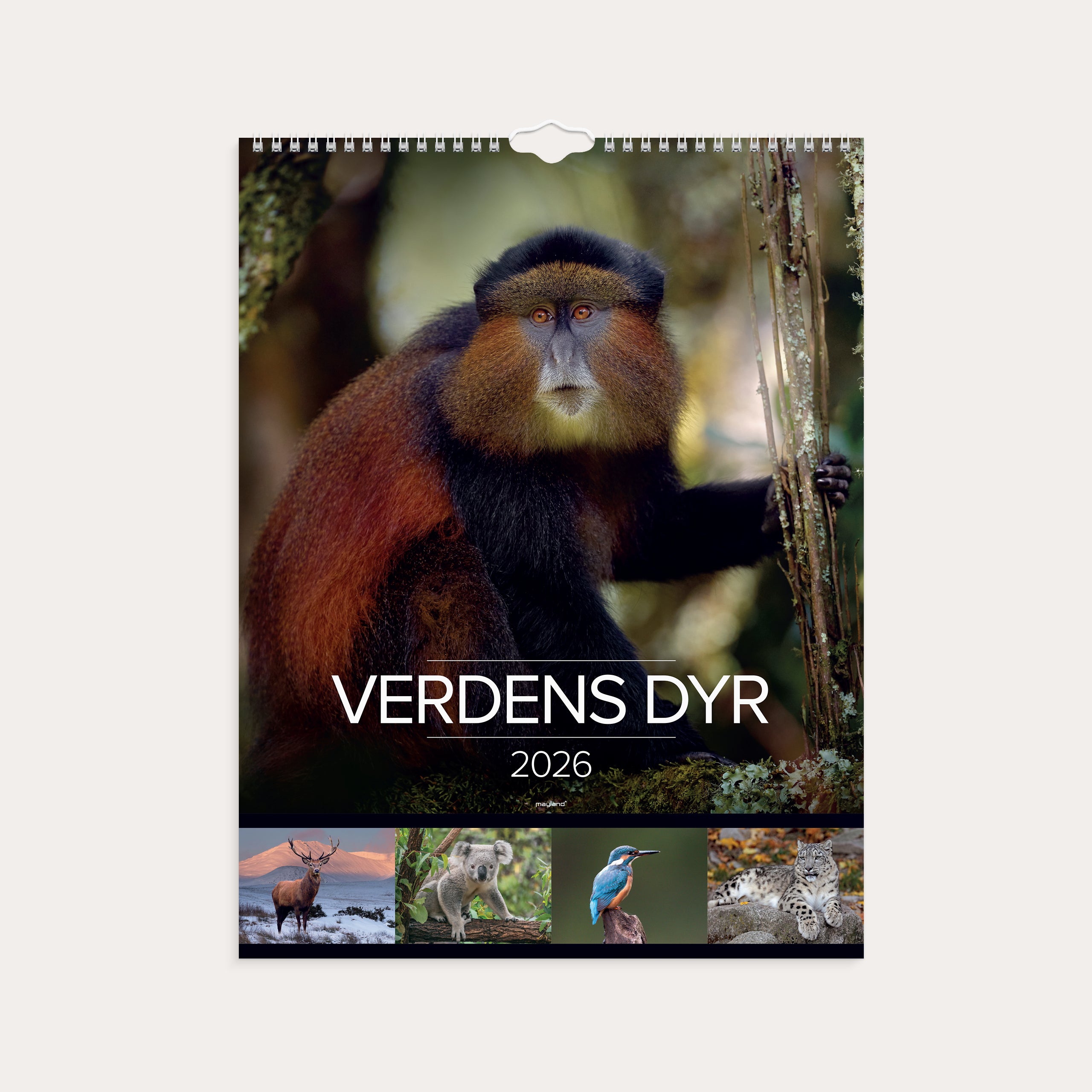 Vægkalender Verdens dyr 2026