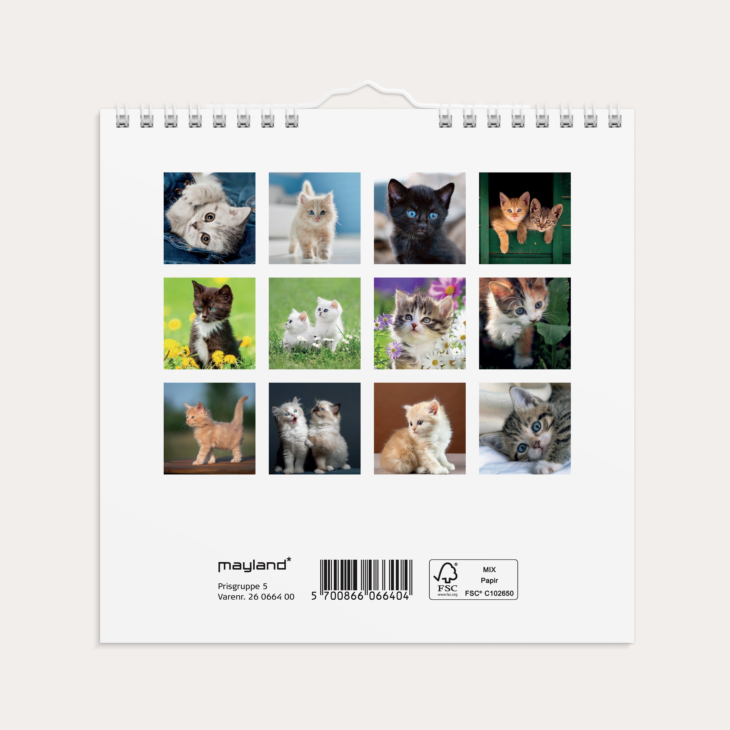 Vægkalender mini Kattekillinger 2026