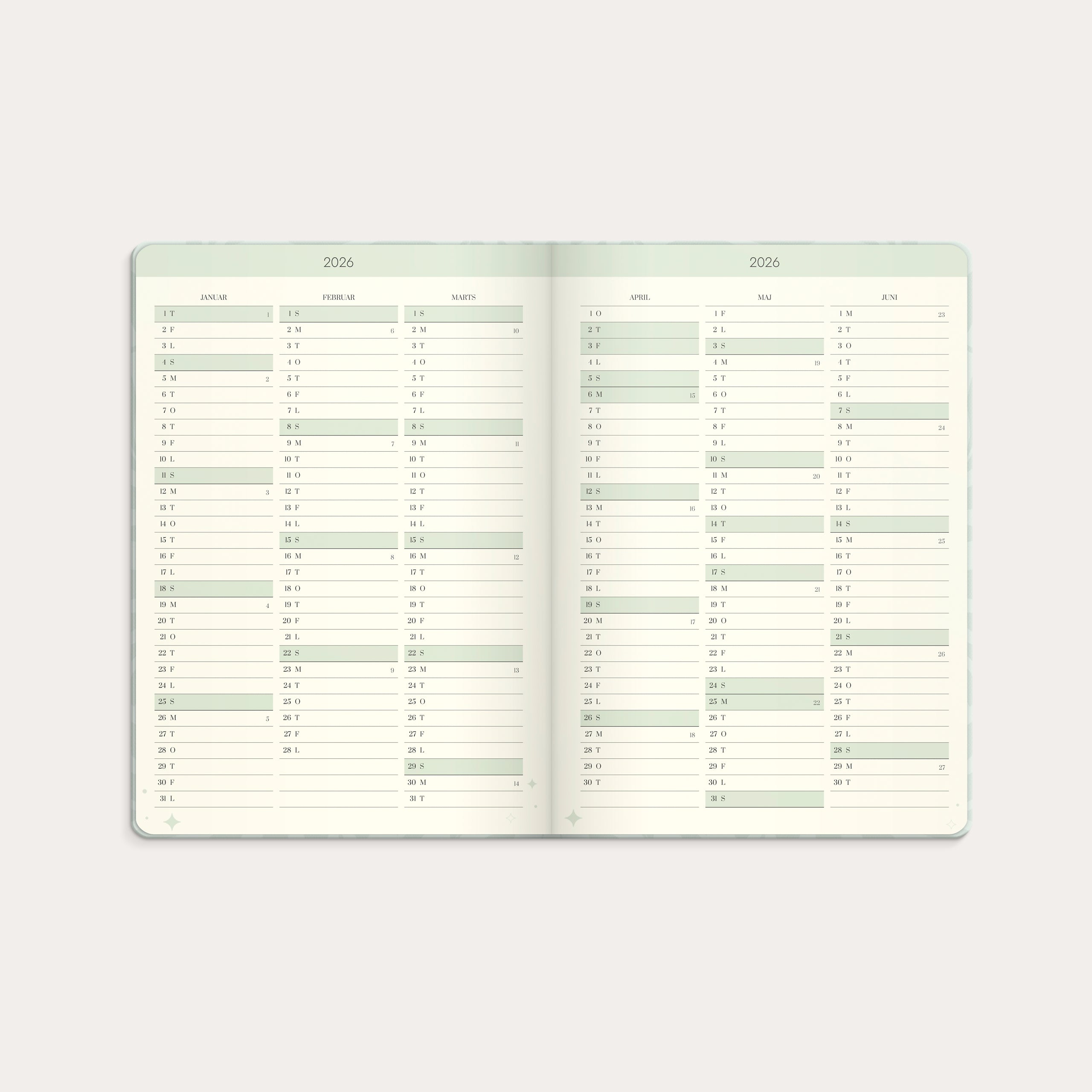 Life Planner Dream & Do 2026