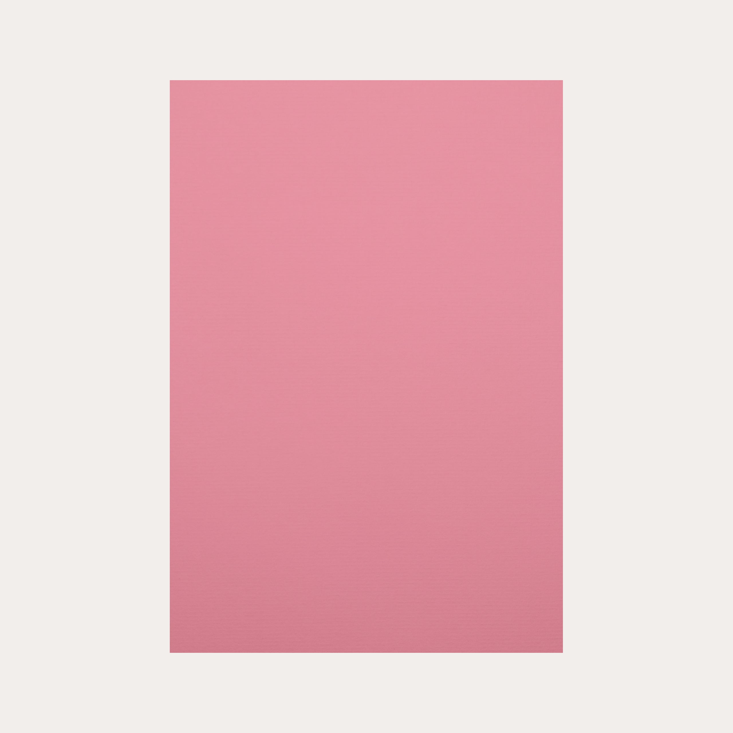 A4 Cardstock 5-pack Pink