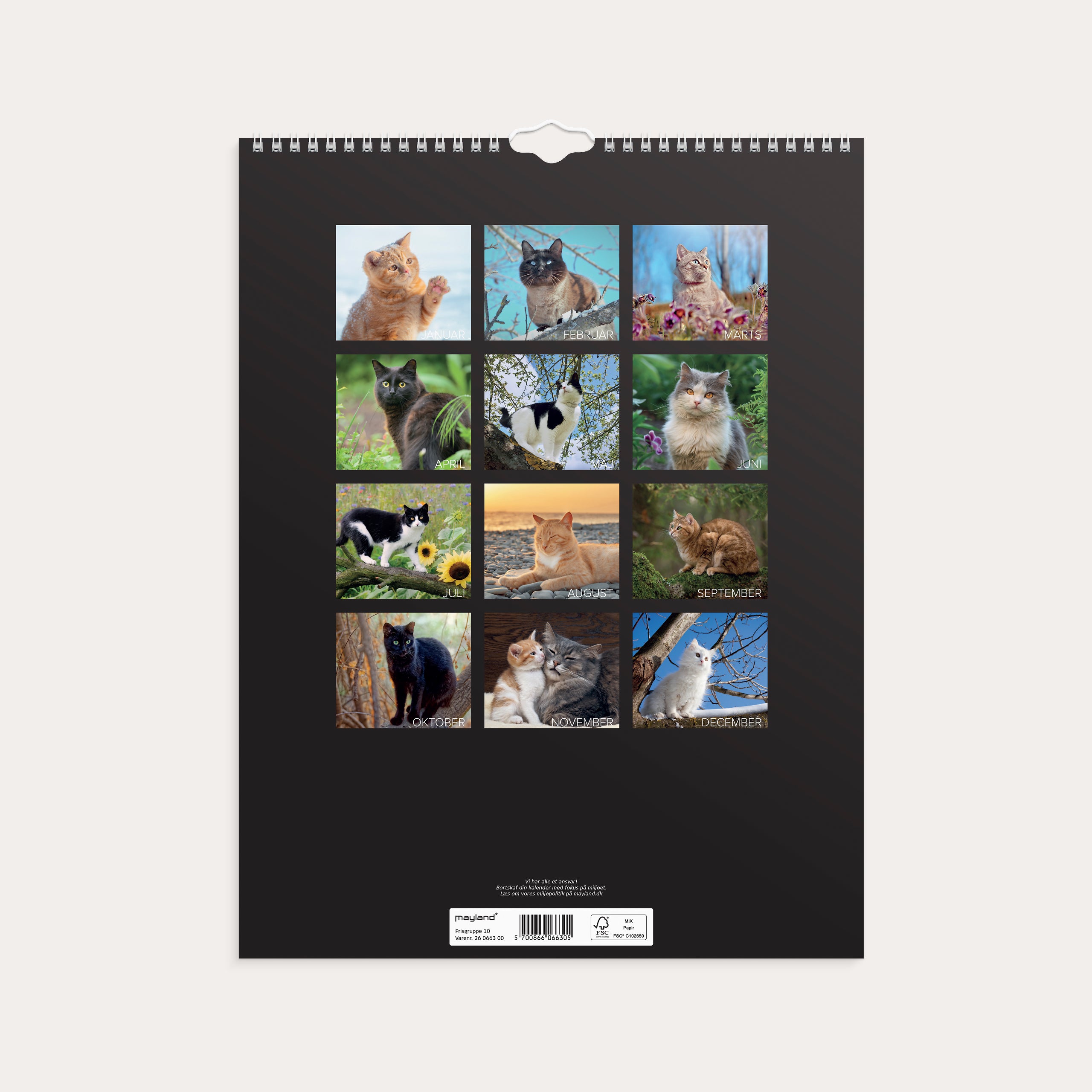 Vægkalender Katte 2026
