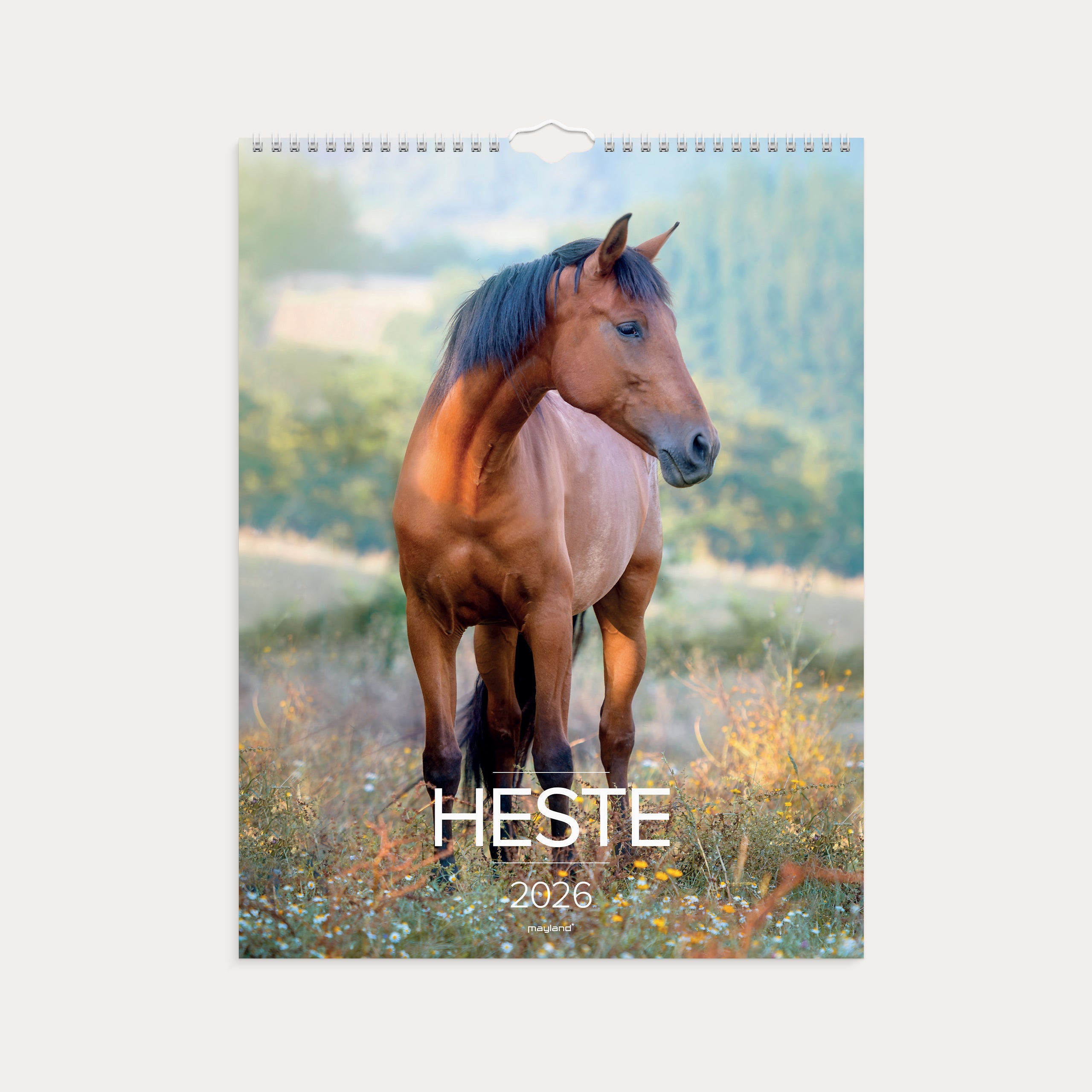 Vægkalender Heste 2026