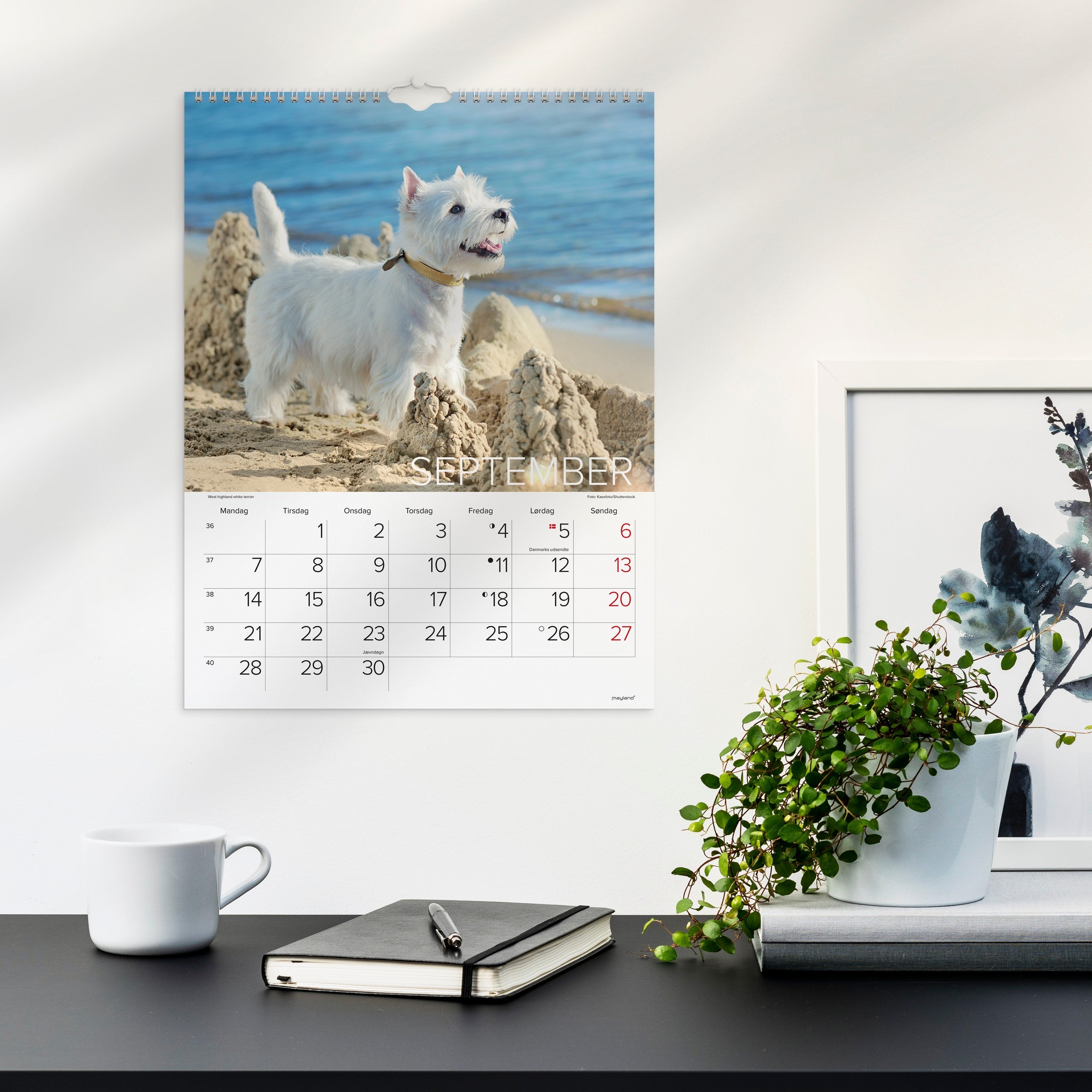Vægkalender Hunde 2026