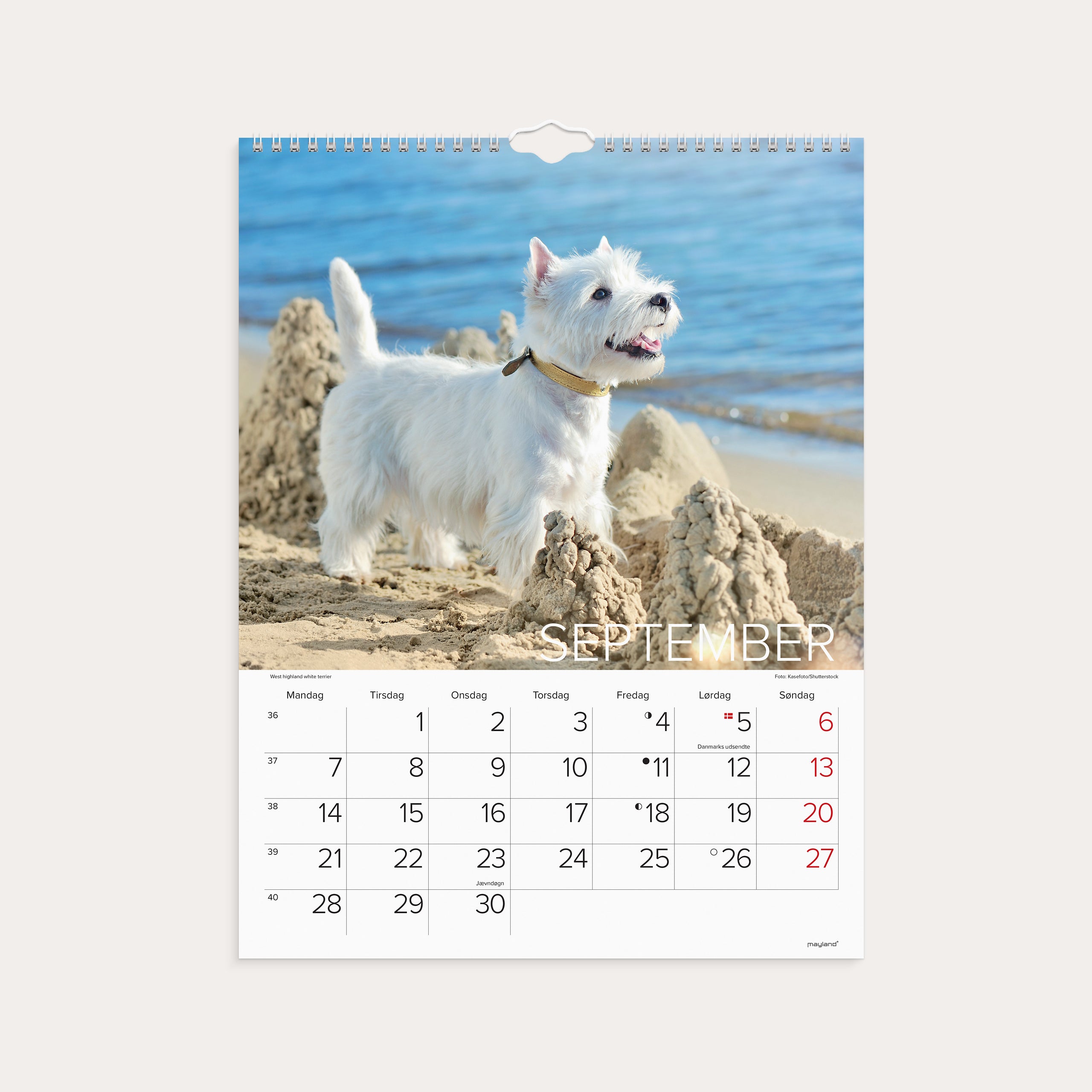Vægkalender Hunde 2026