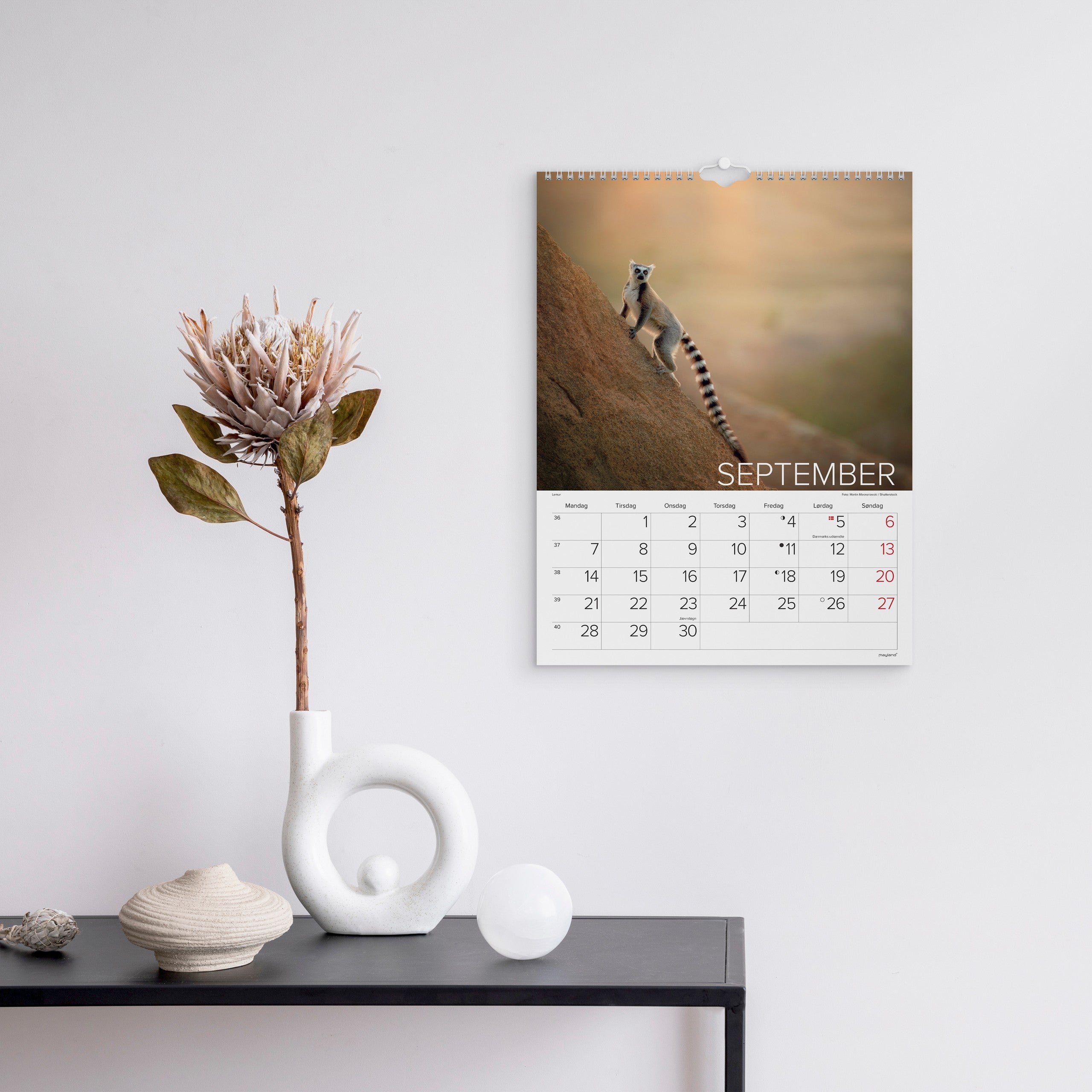 Vægkalender Verdens dyr 2026