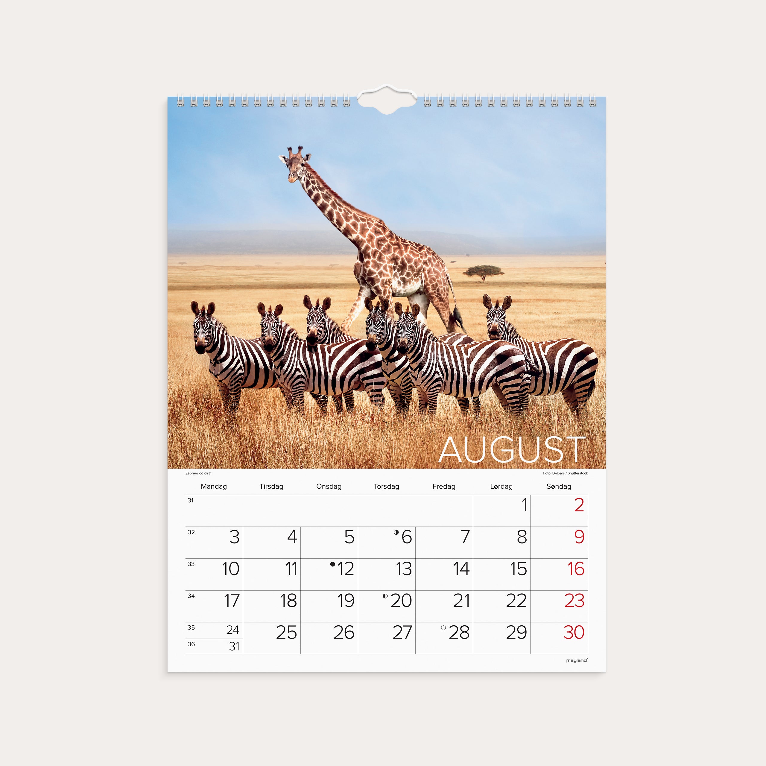 Vægkalender Verdens dyr 2026