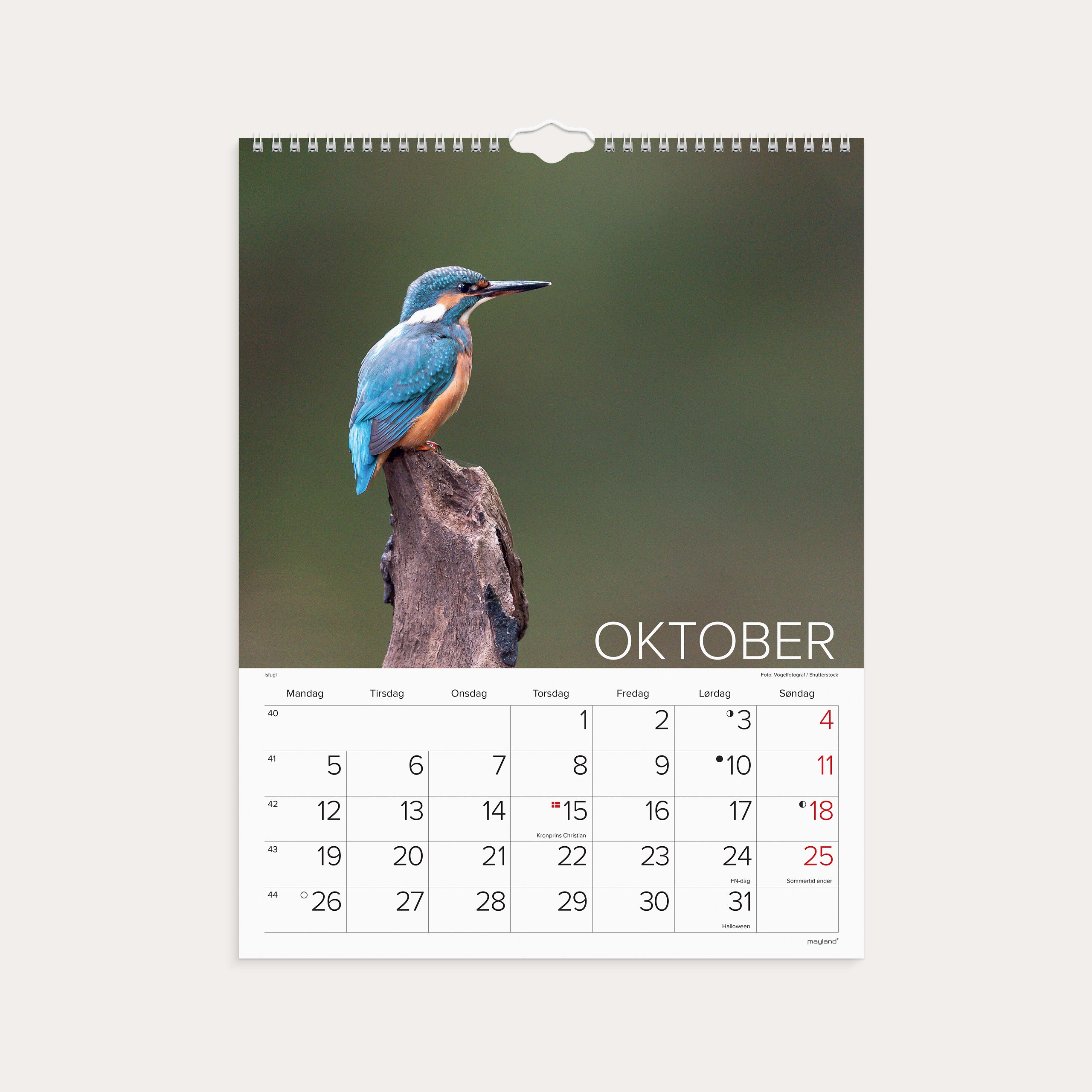 Vægkalender Verdens dyr 2026