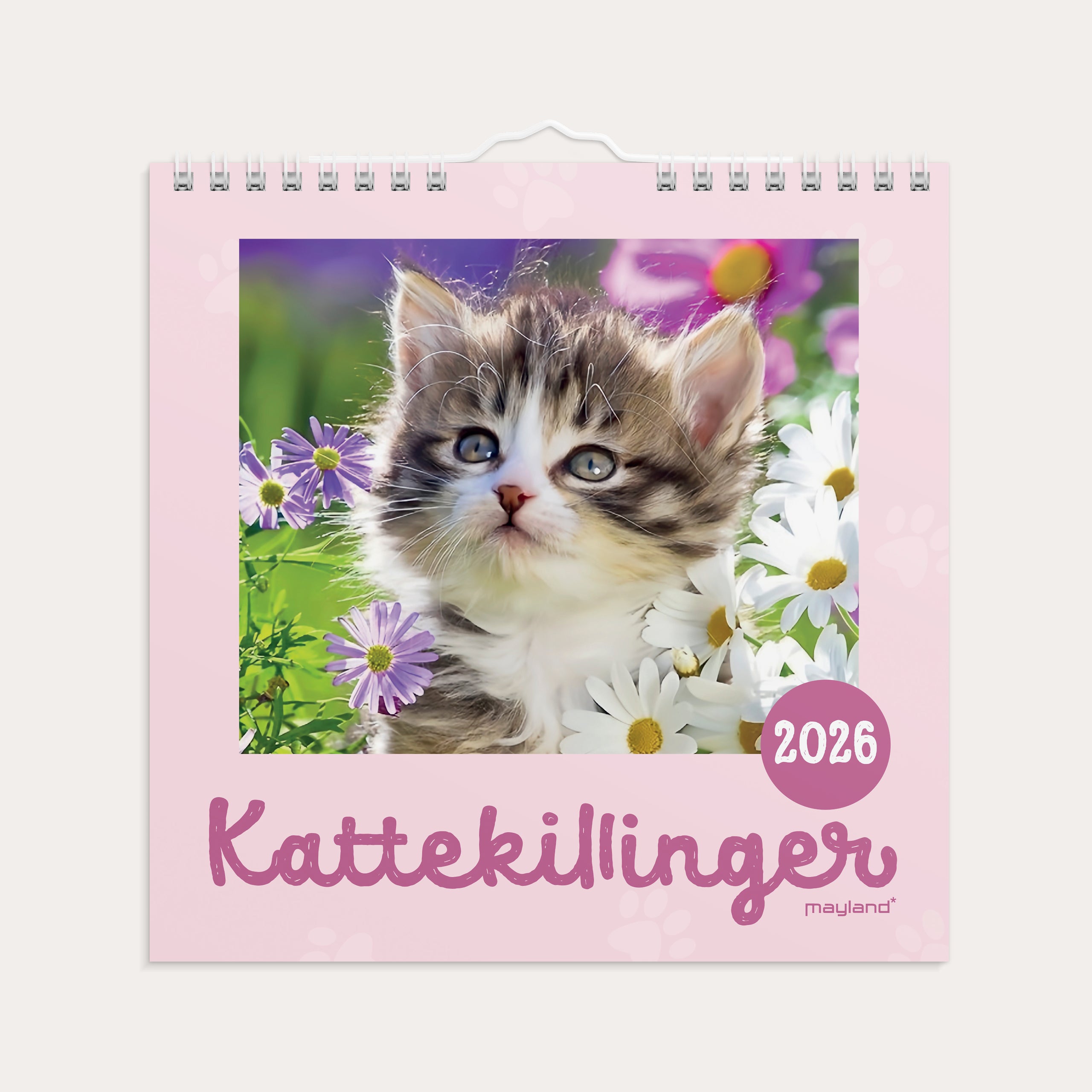 Vægkalender mini Kattekillinger 2026