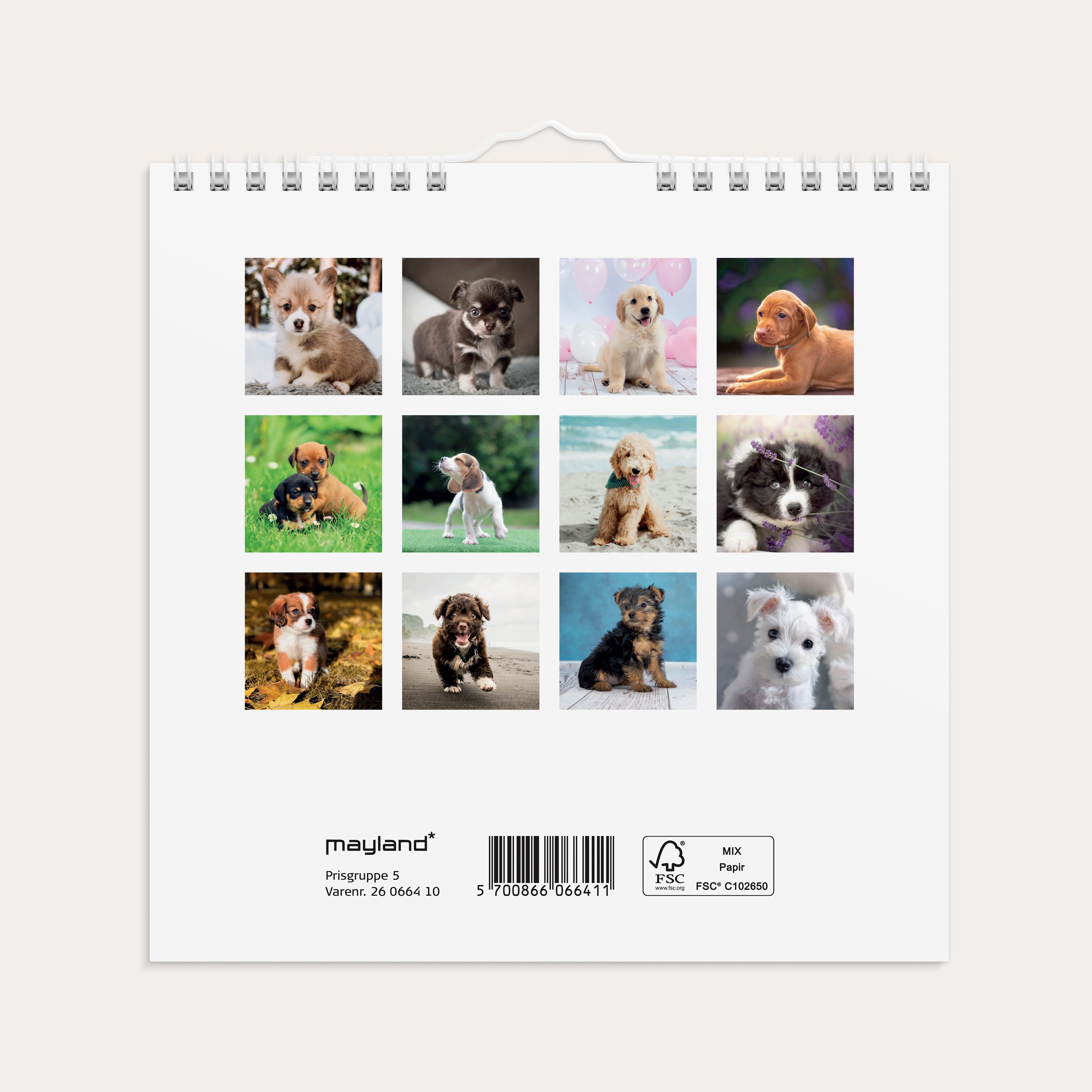 Vægkalender mini Hundehvalpe 2026