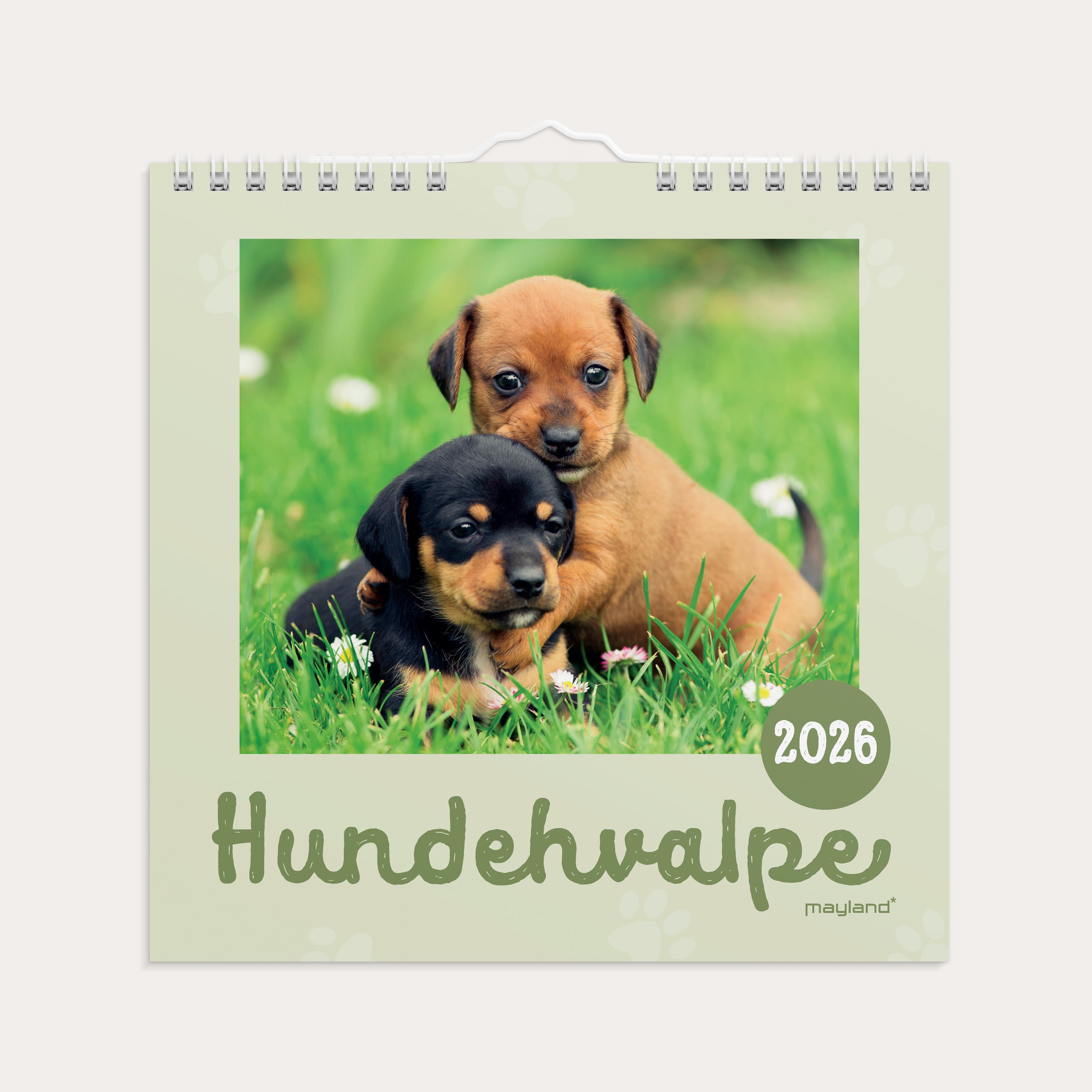 Vægkalender mini Hundehvalpe 2026