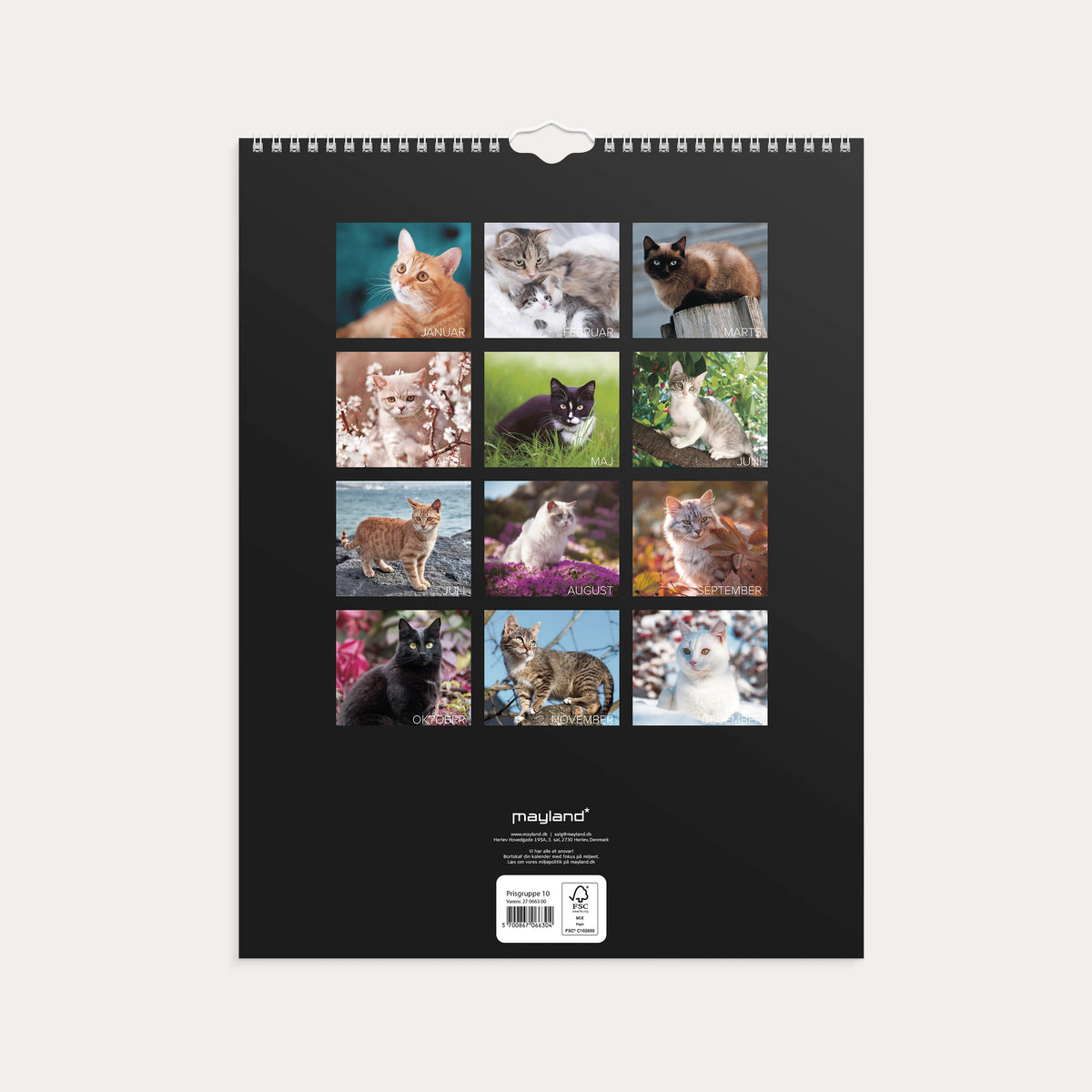 Vægkalender Katte 2027