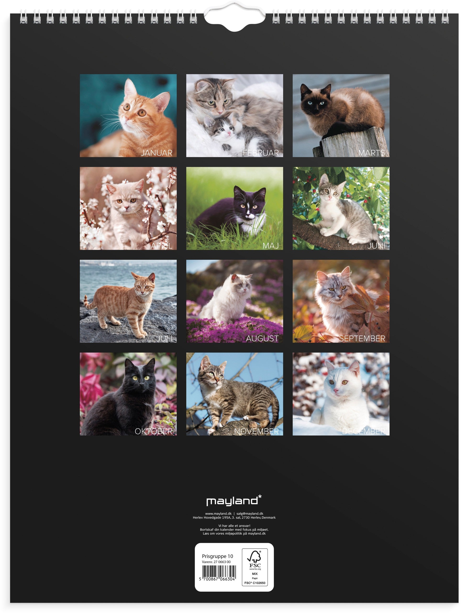 Vægkalender Katte 2027