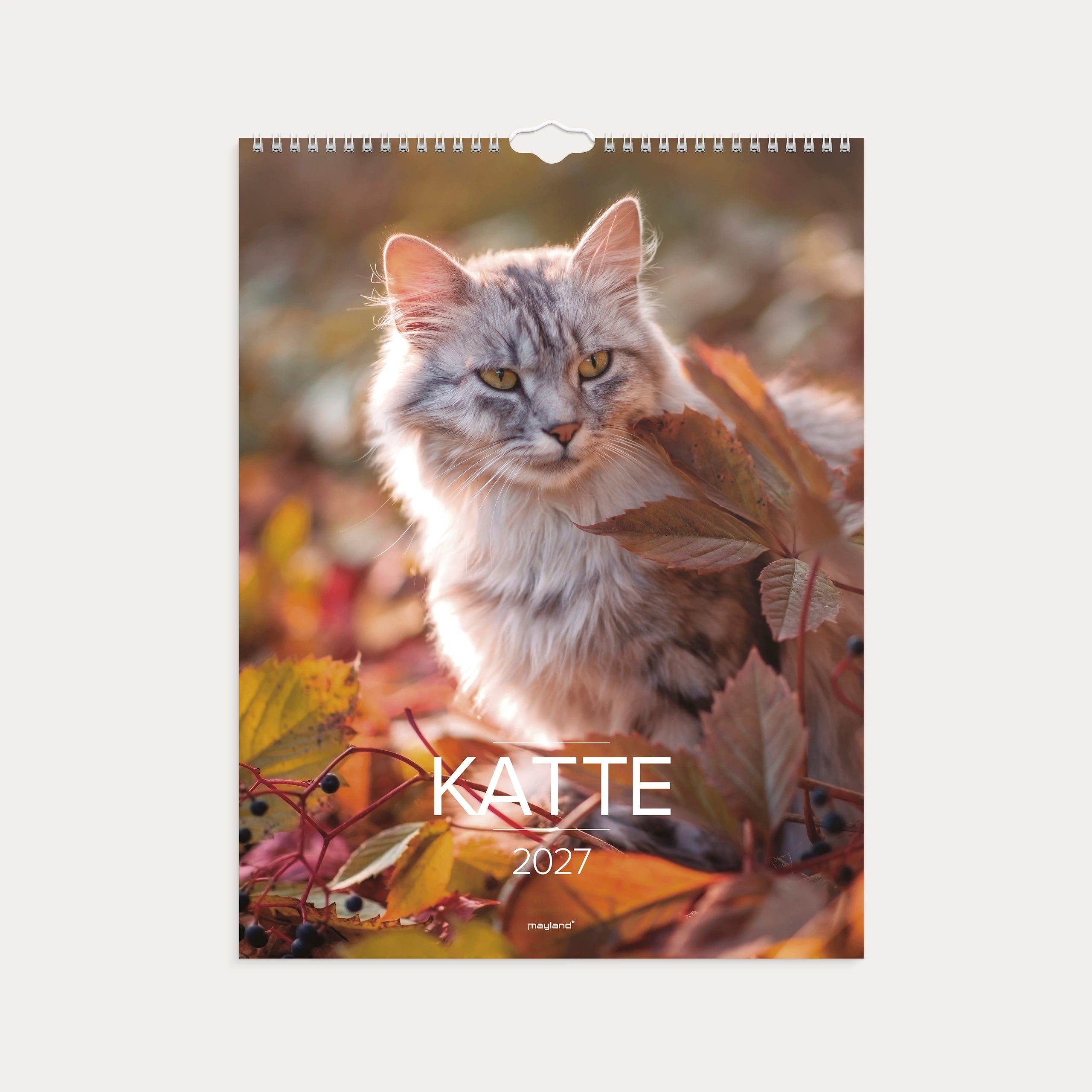 Vægkalender Katte 2027