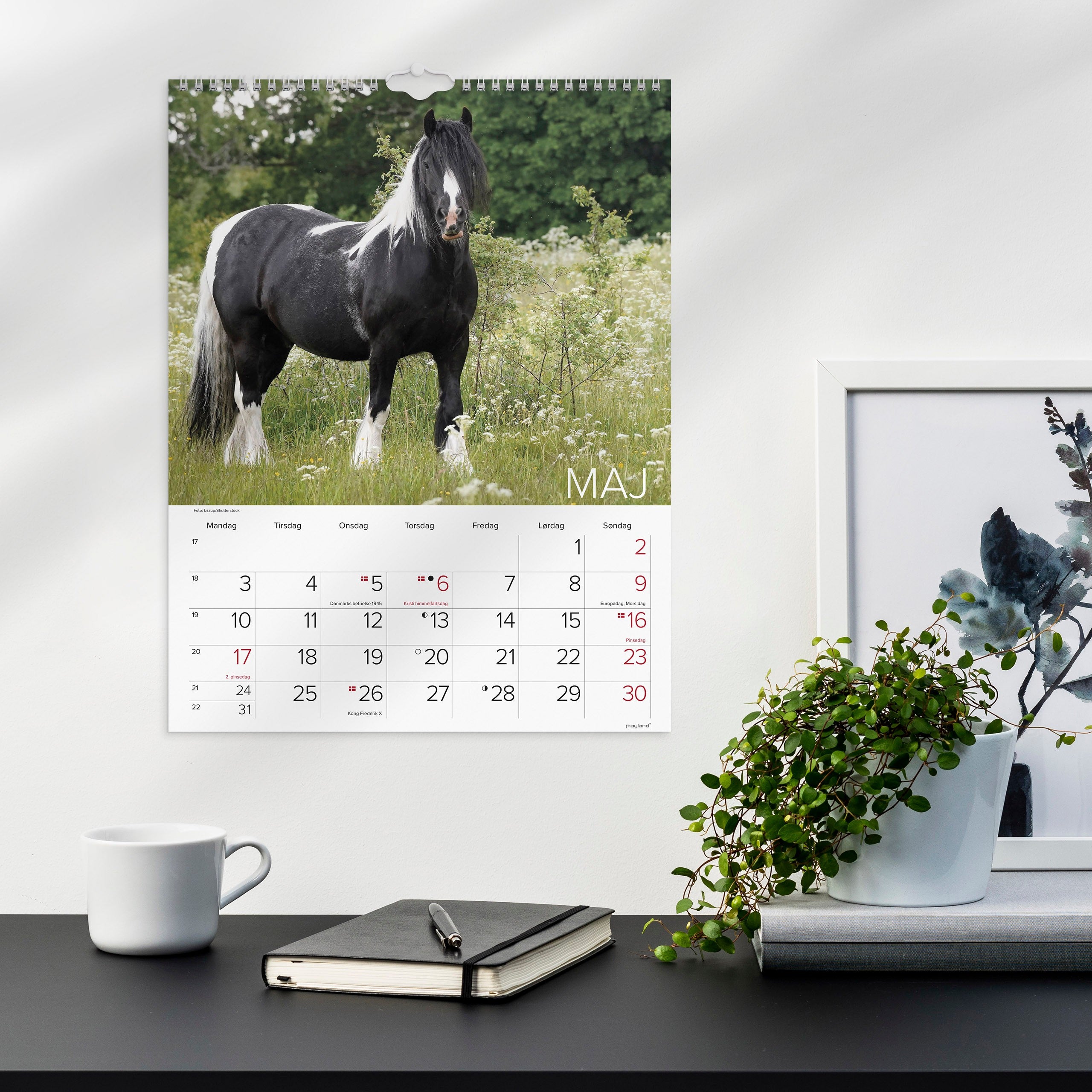 Vægkalender Heste 2027