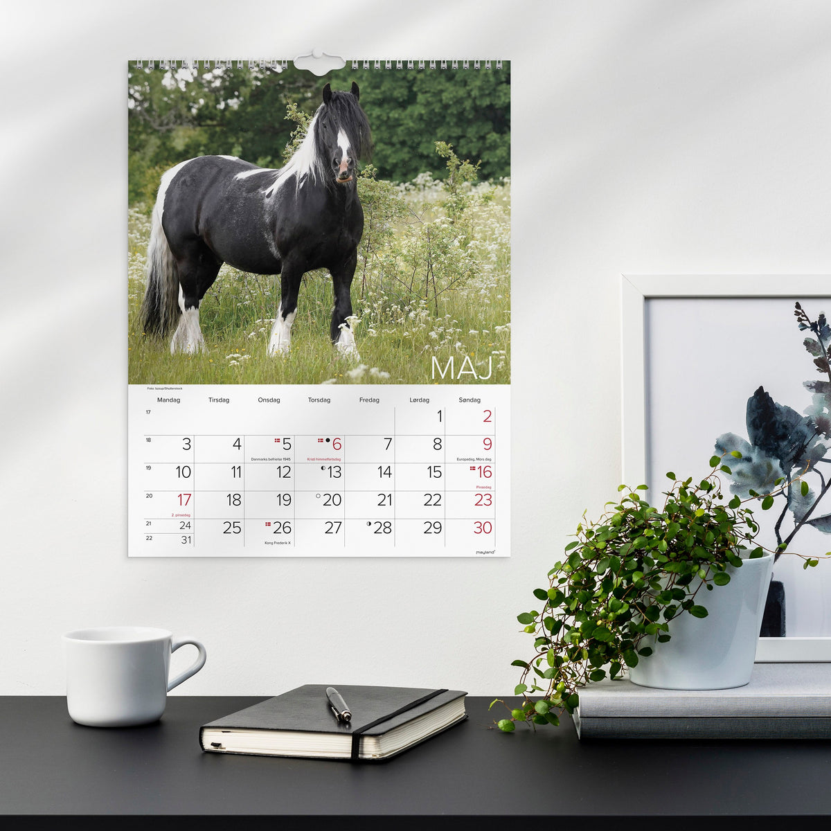 Vægkalender Heste 2027