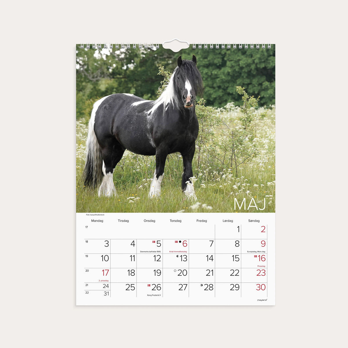 Vægkalender Heste 2027