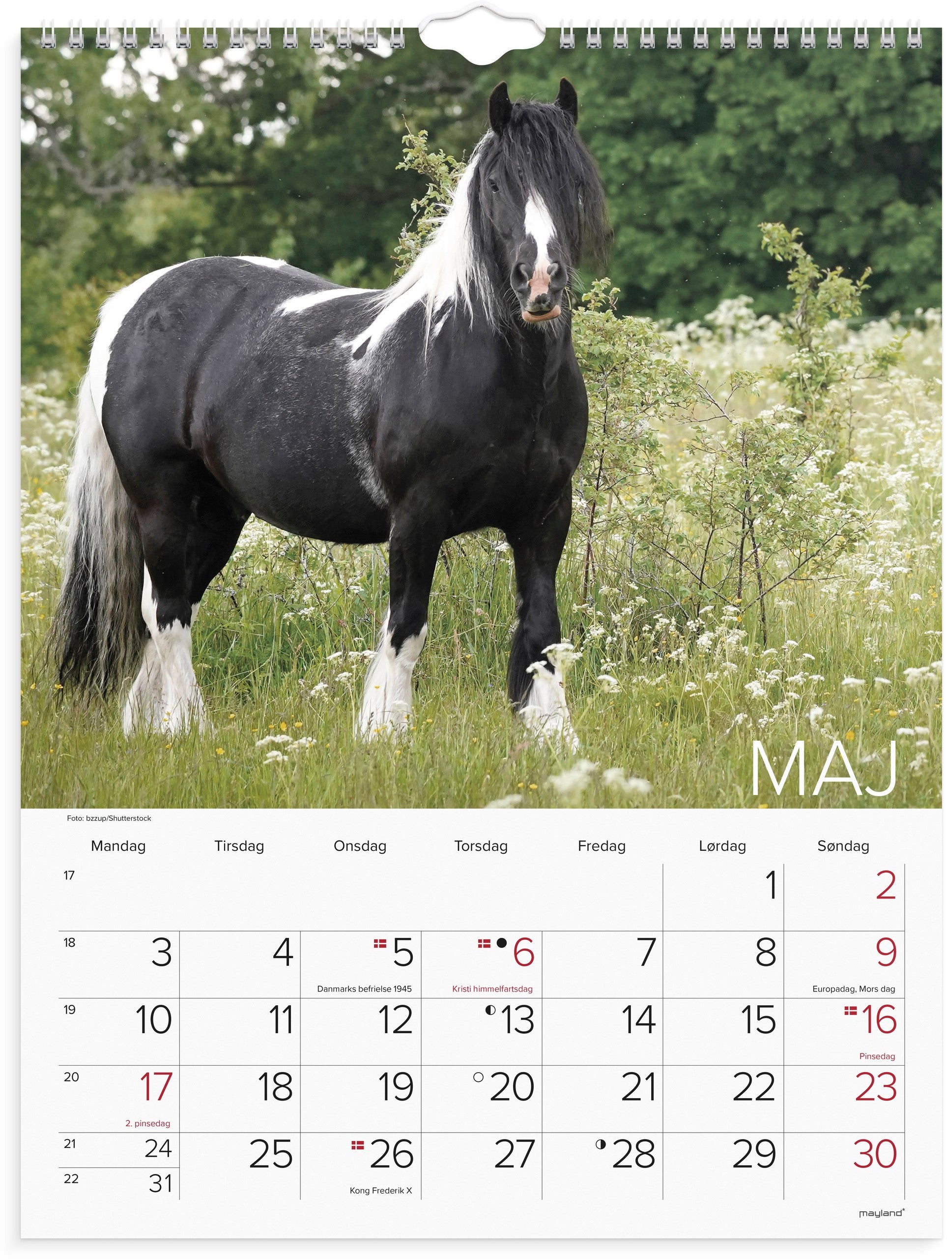Vægkalender Heste 2027