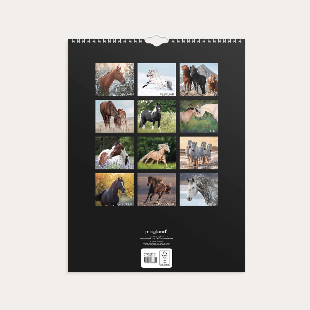 Vægkalender Heste 2027