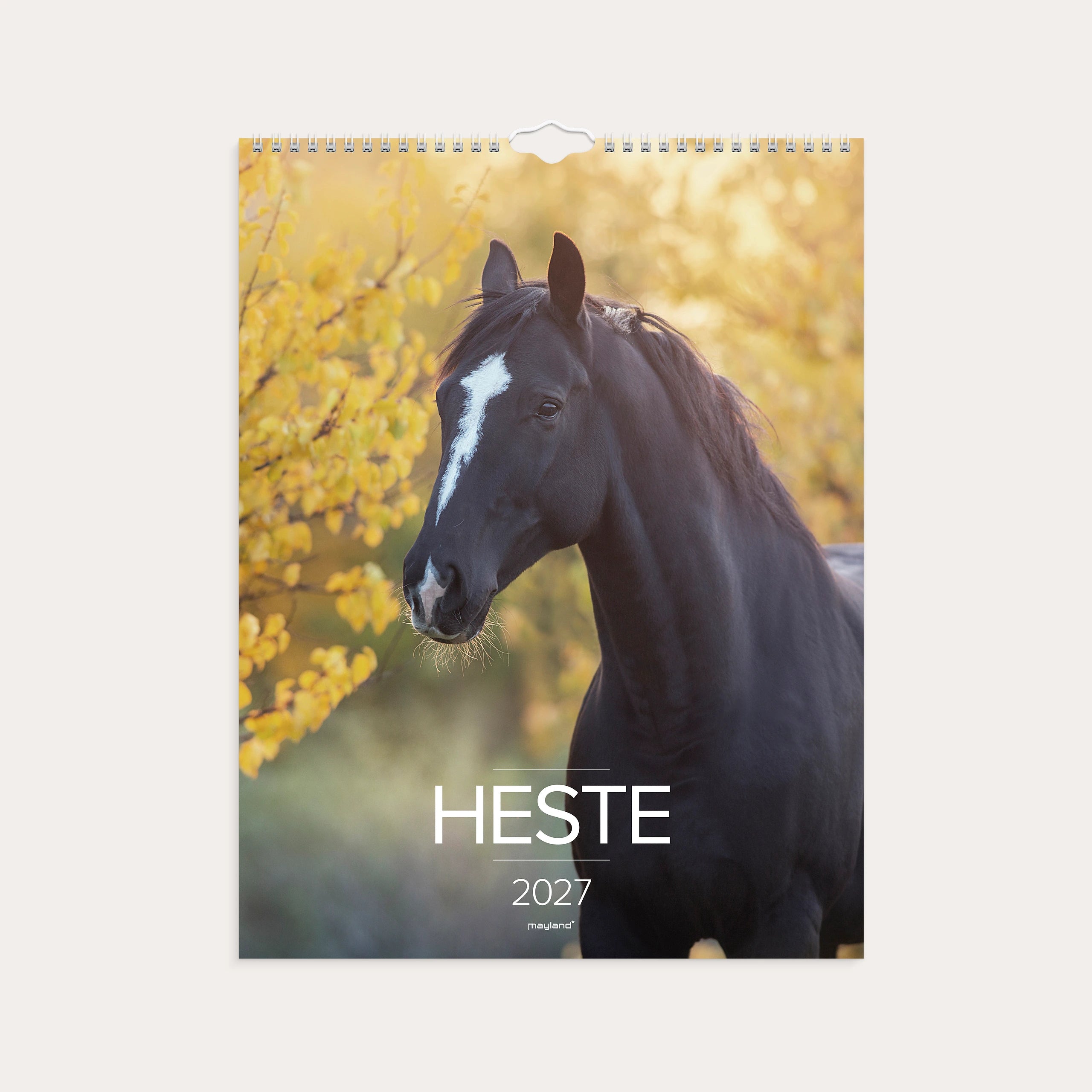 Vægkalender Heste 2027