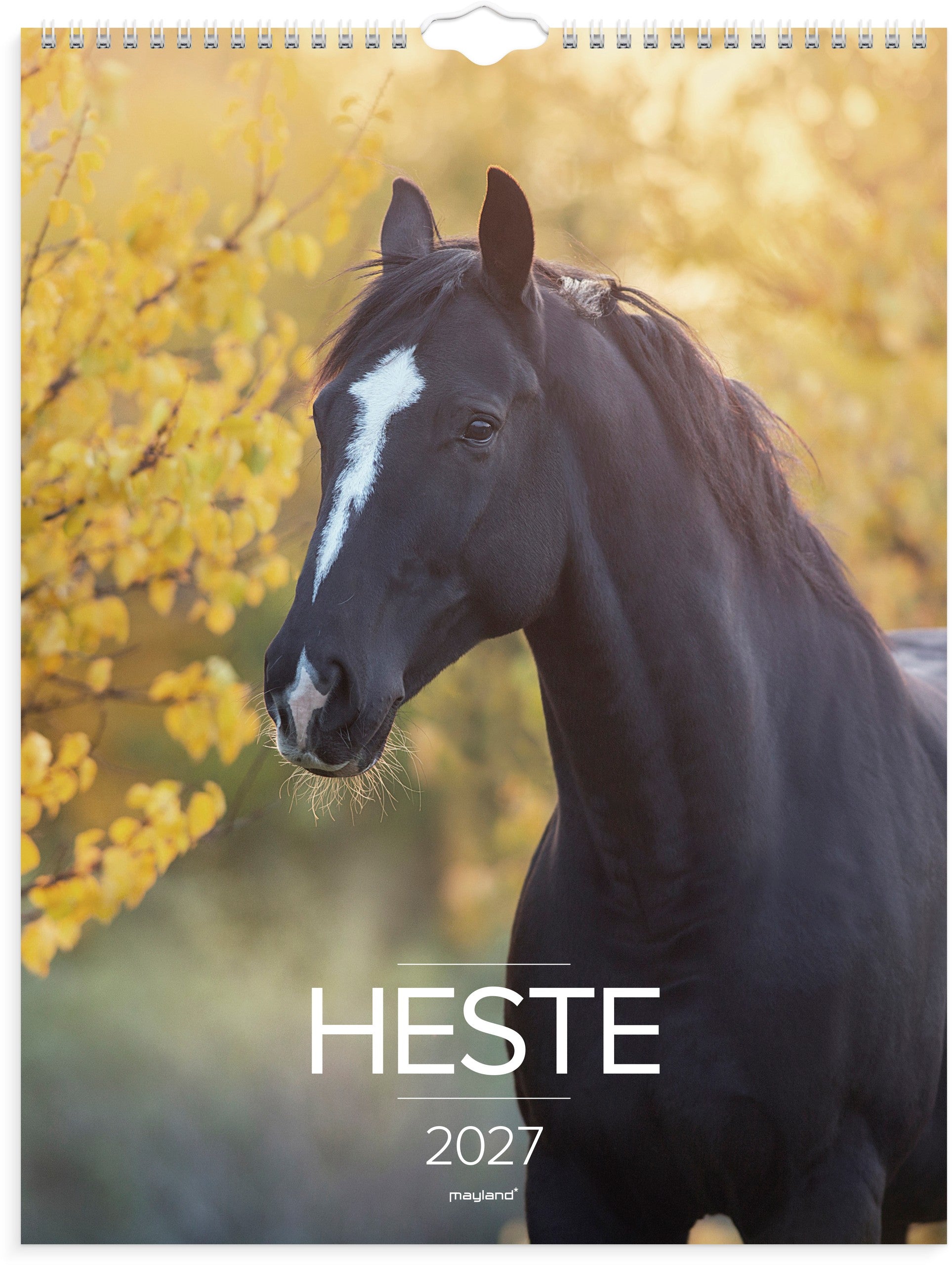 Vægkalender Heste 2027