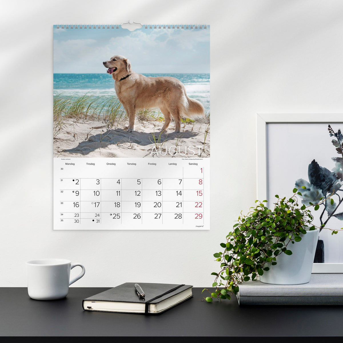 Vægkalender Hunde 2027