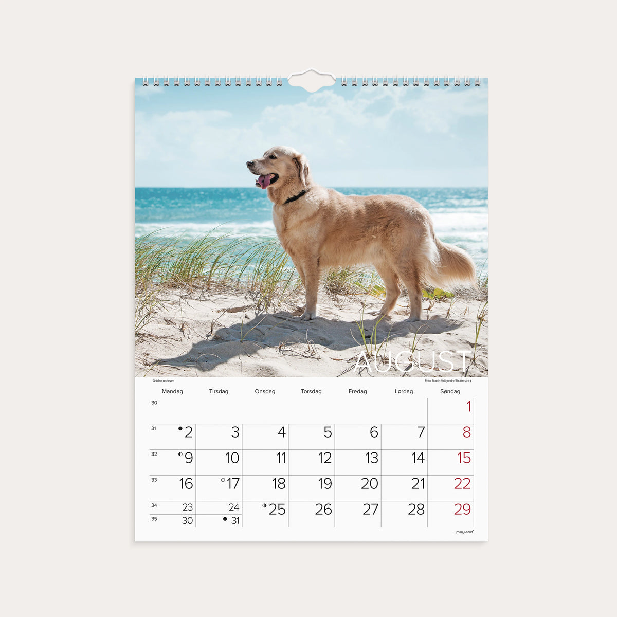 Vægkalender Hunde 2027