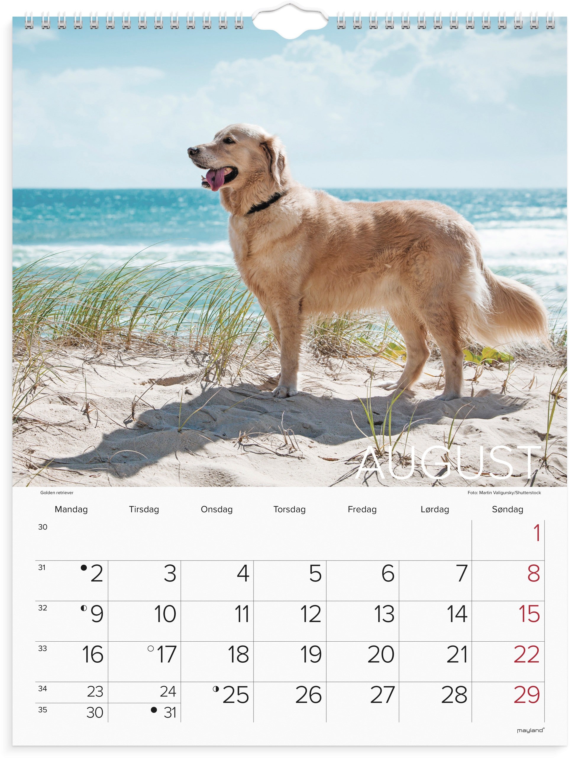 Vægkalender Hunde 2027
