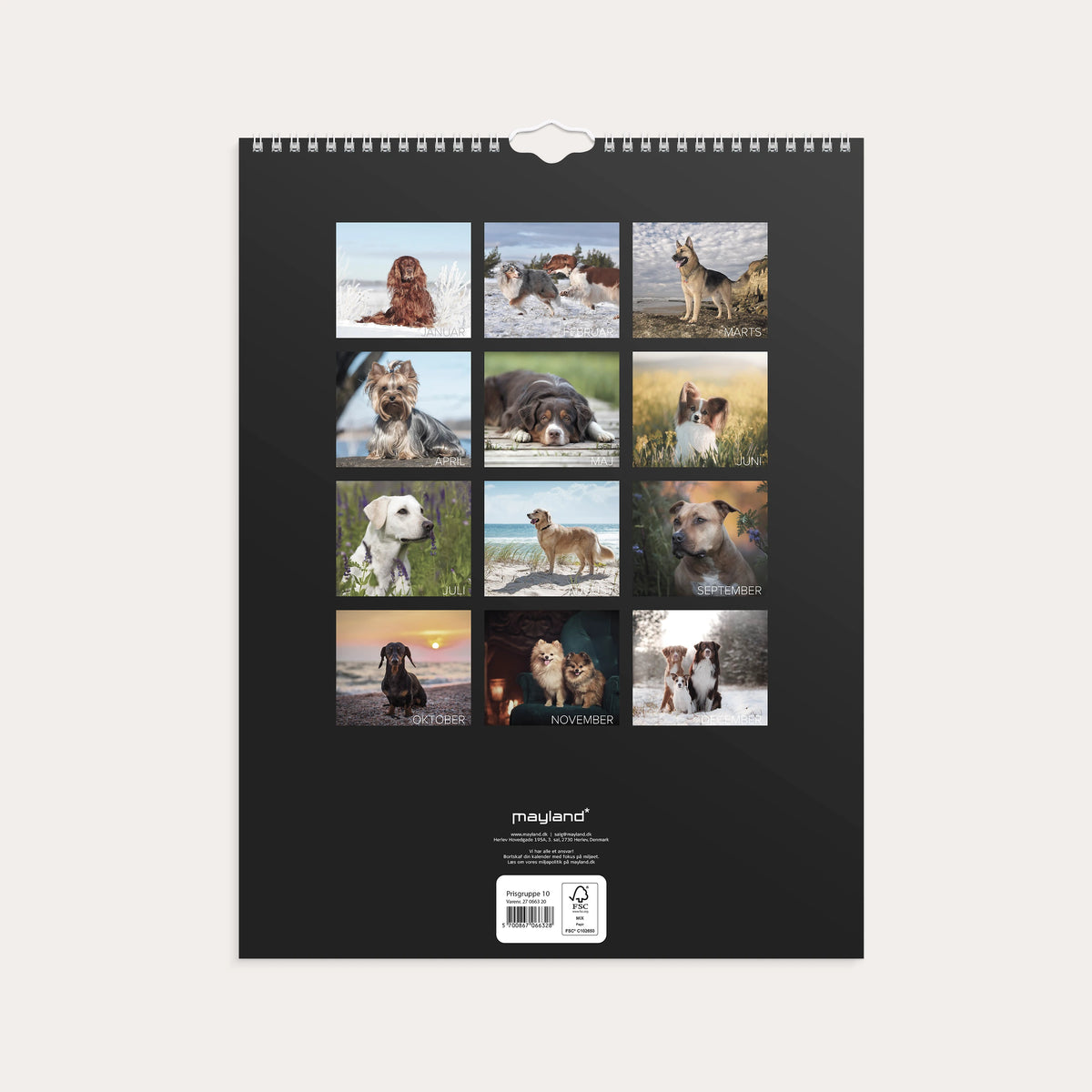 Vægkalender Hunde 2027