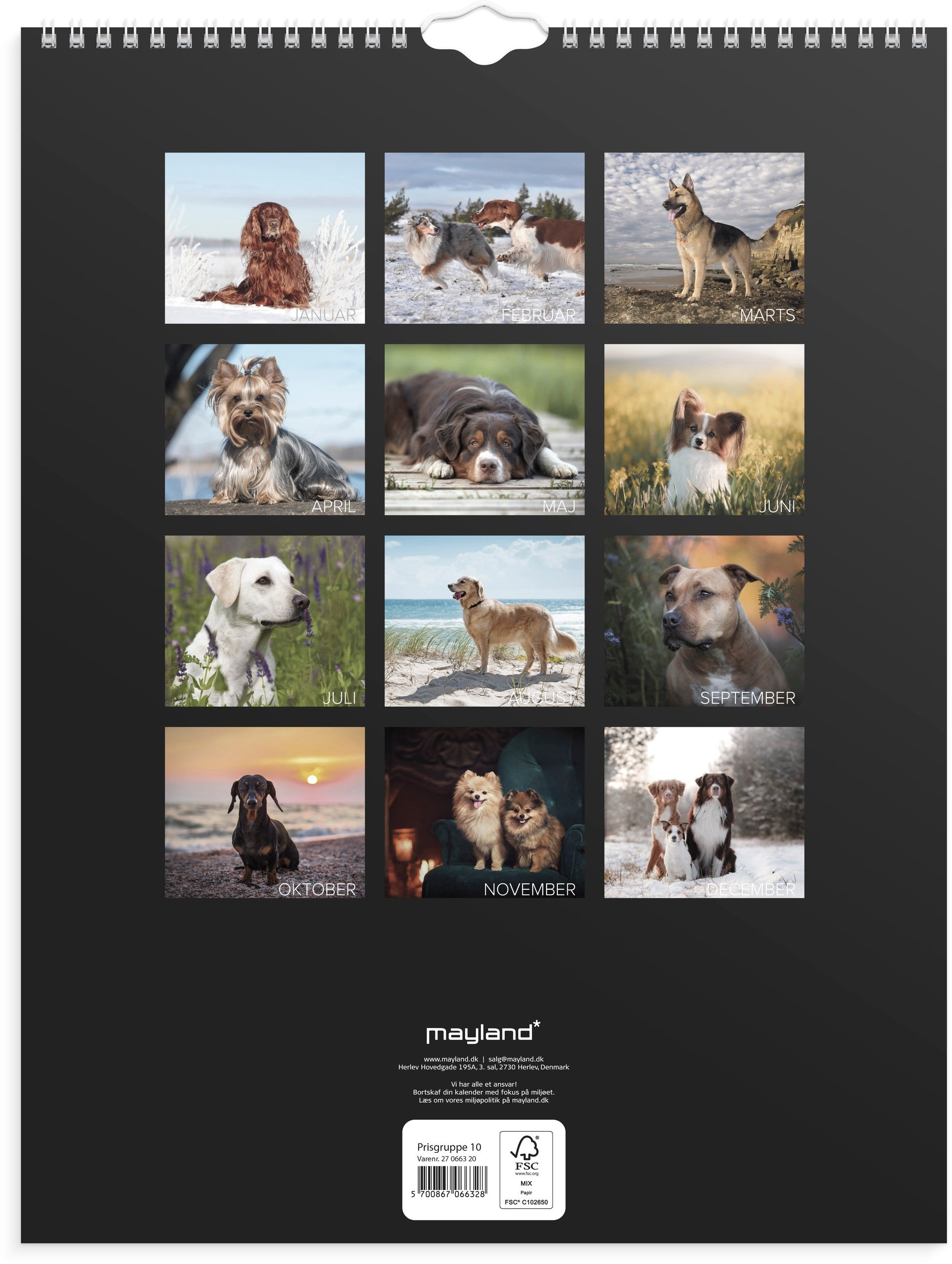 Vægkalender Hunde 2027