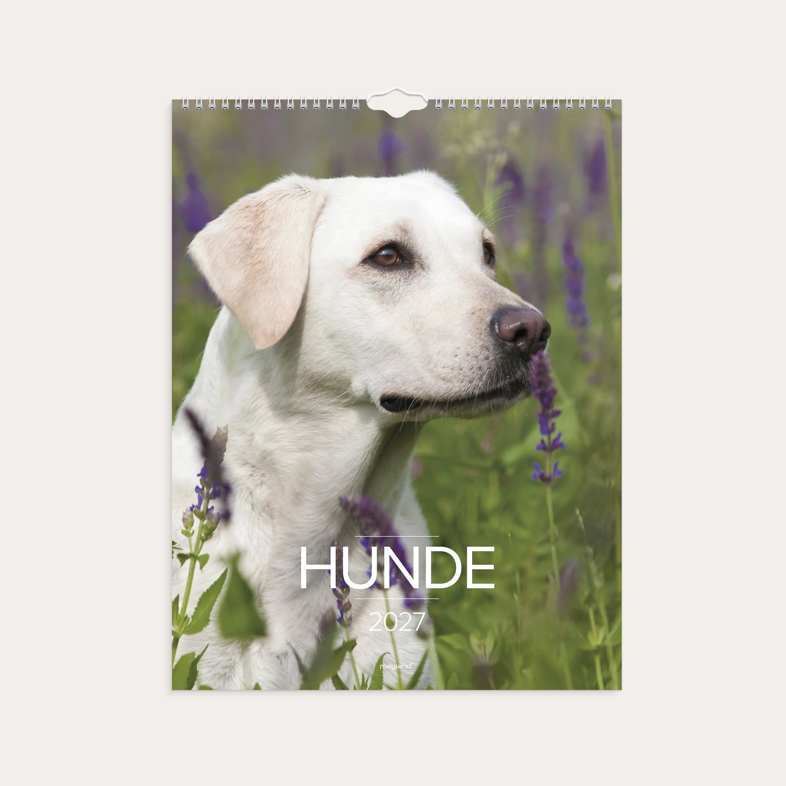 Vægkalender Hunde 2027