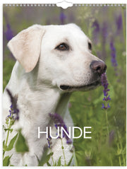 Vægkalender Hunde 2027