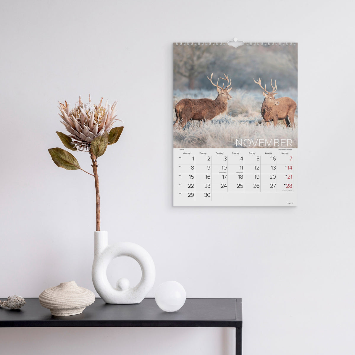 Vægkalender Verdens dyr 2027