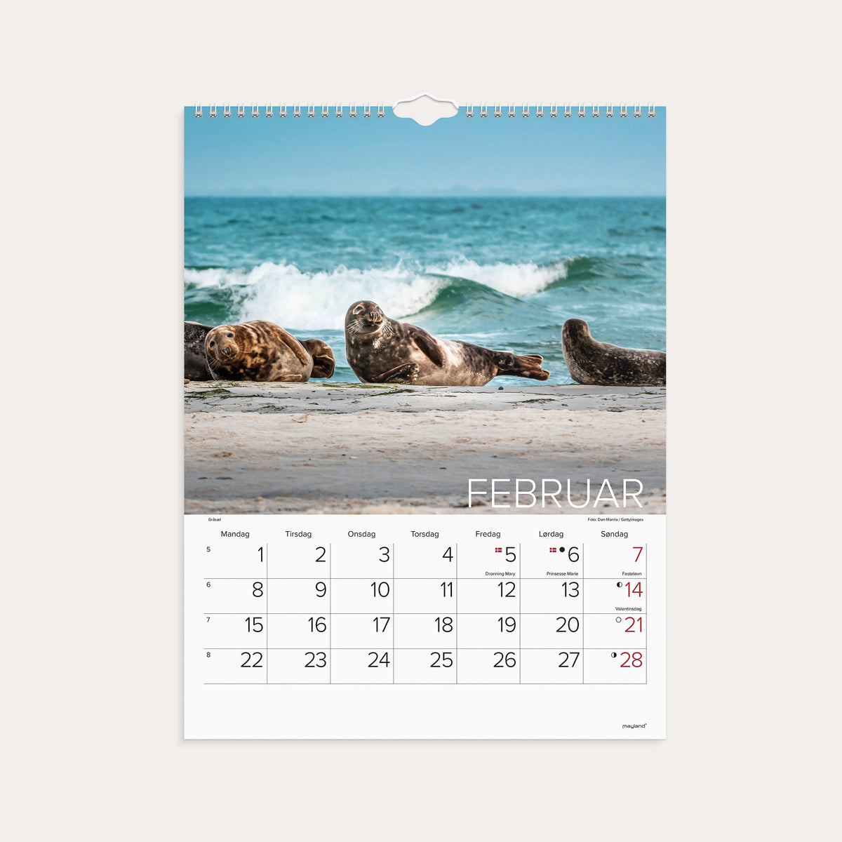 Vægkalender Verdens dyr 2027