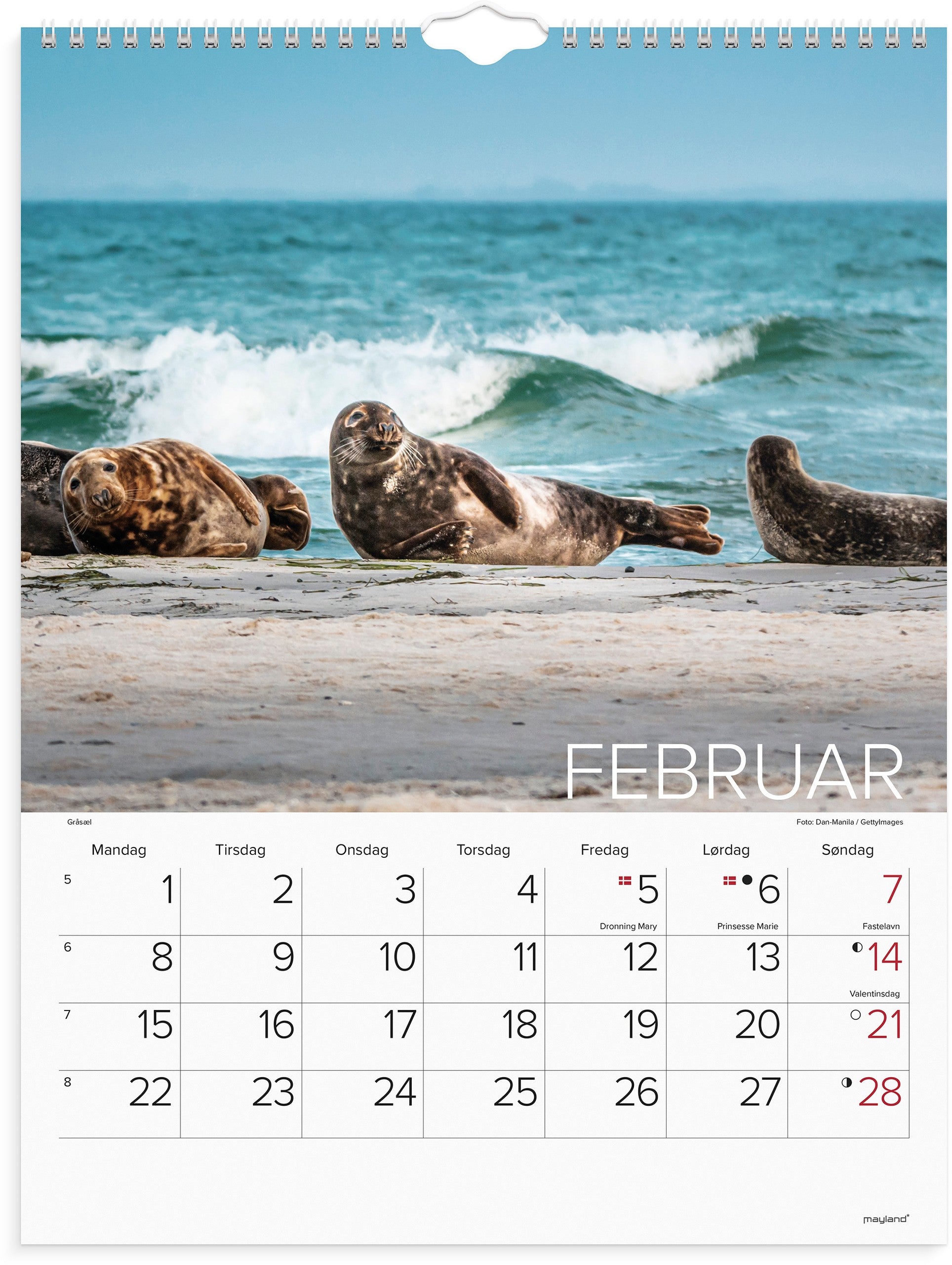 Vægkalender Verdens dyr 2027