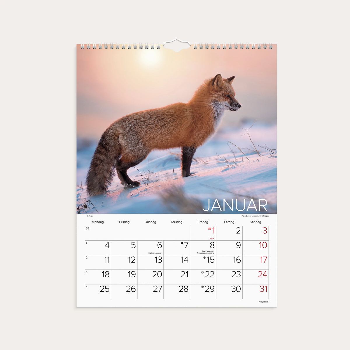 Vægkalender Verdens dyr 2027