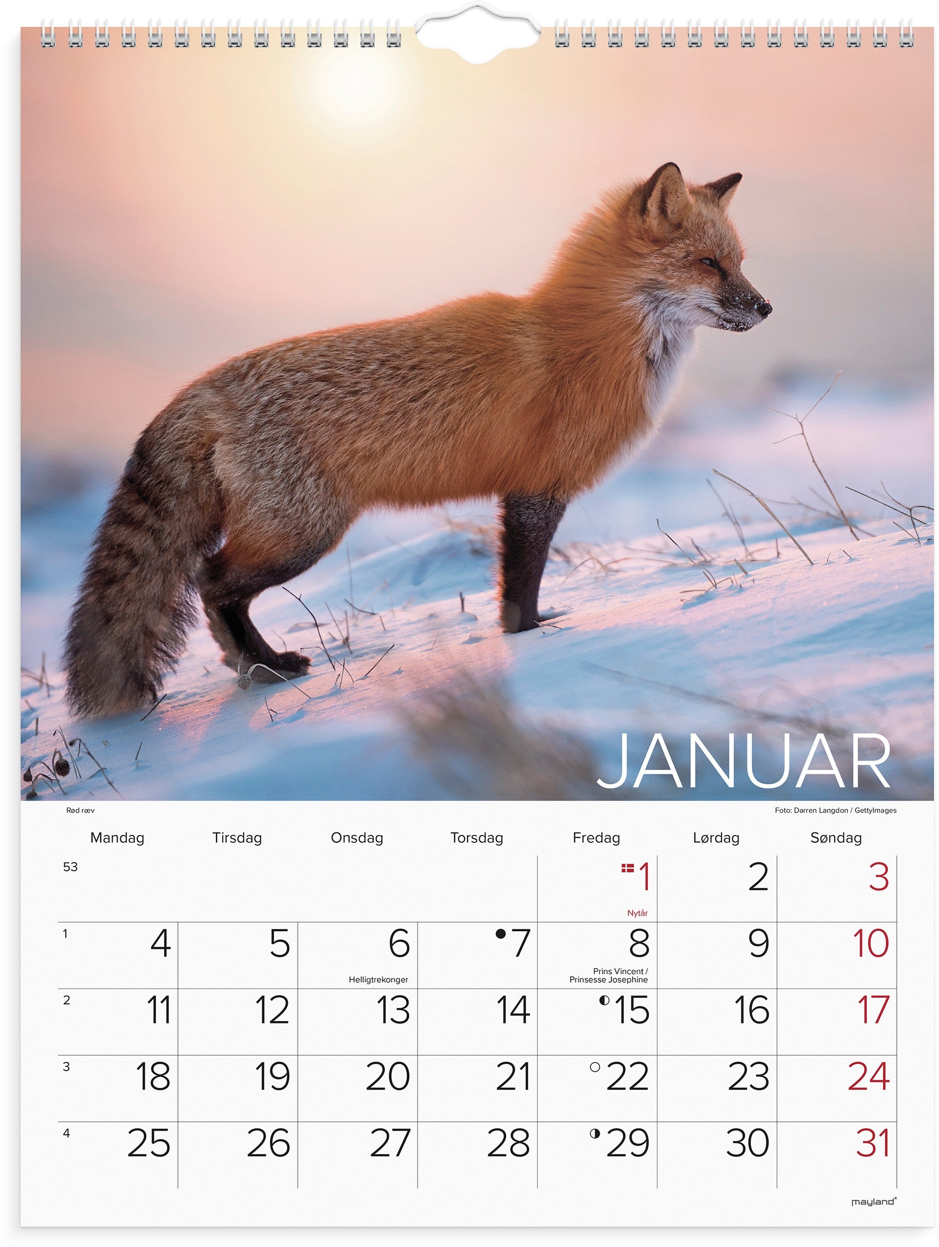 Vægkalender Verdens dyr 2027