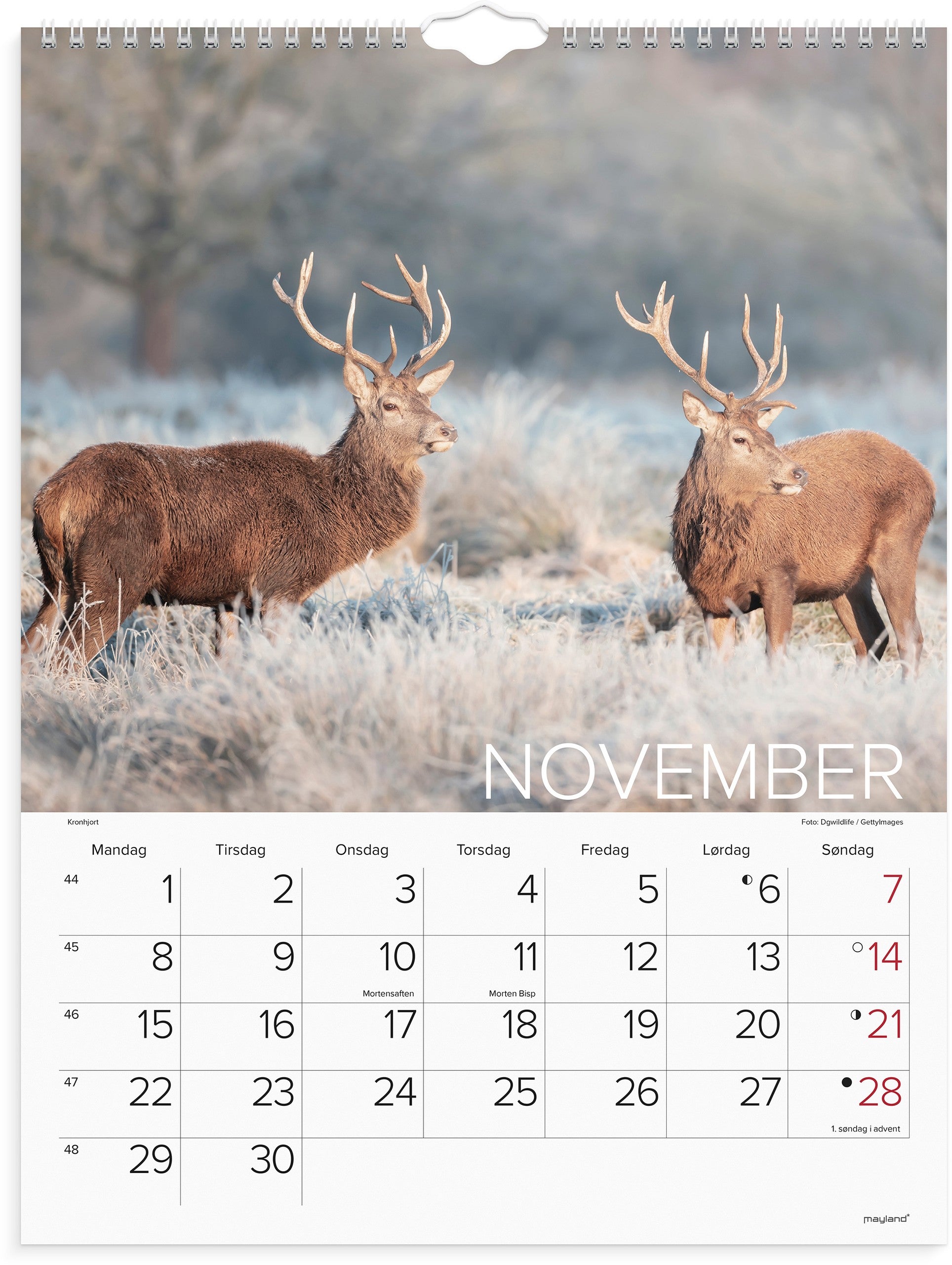 Vægkalender Verdens dyr 2027