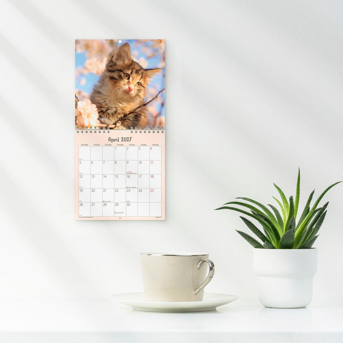 Vægkalender mini Kattekillinger 2027