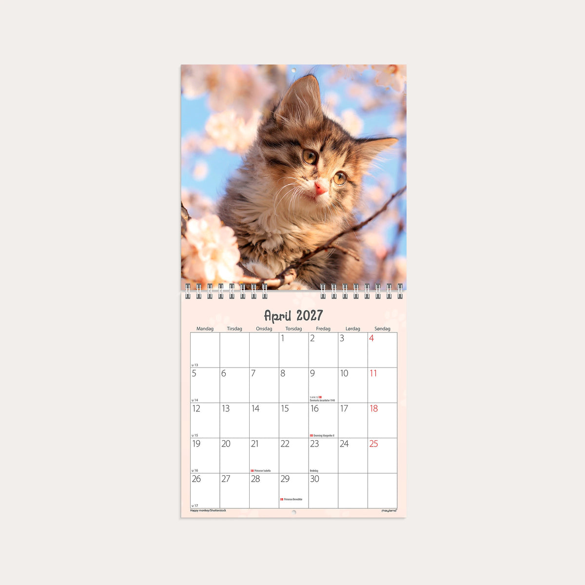 Vægkalender mini Kattekillinger 2027