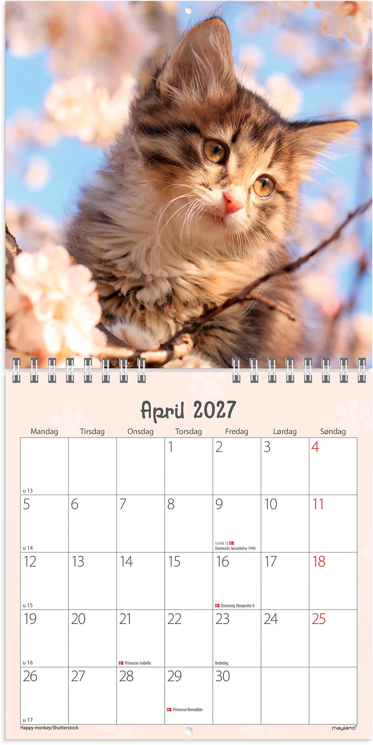 Vægkalender mini Kattekillinger 2027
