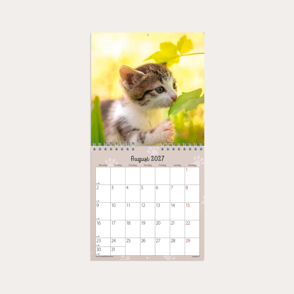 Vægkalender mini Kattekillinger 2027
