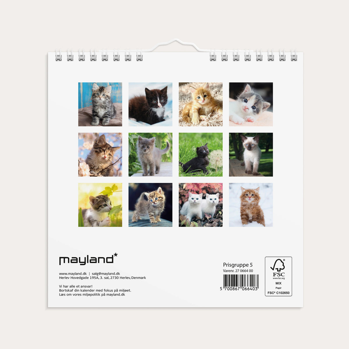 Vægkalender mini Kattekillinger 2027