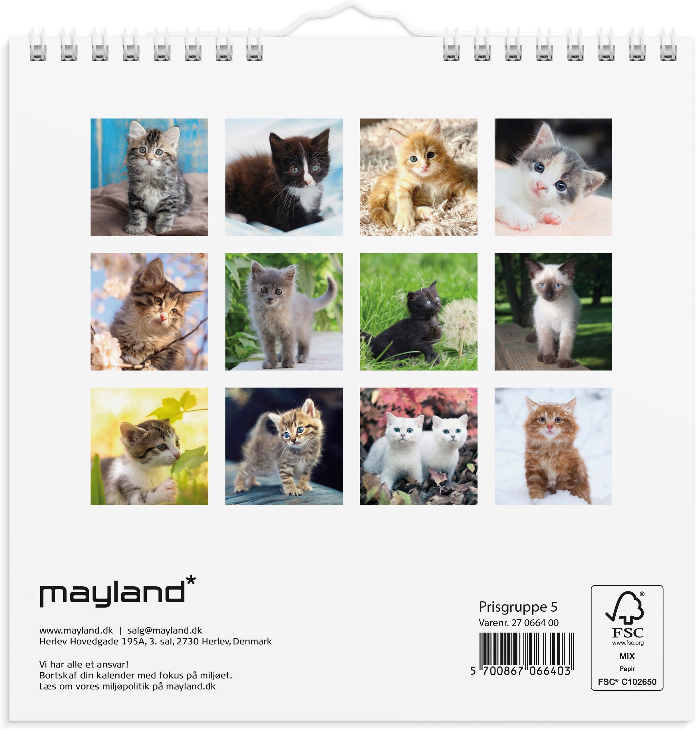 Vægkalender mini Kattekillinger 2027