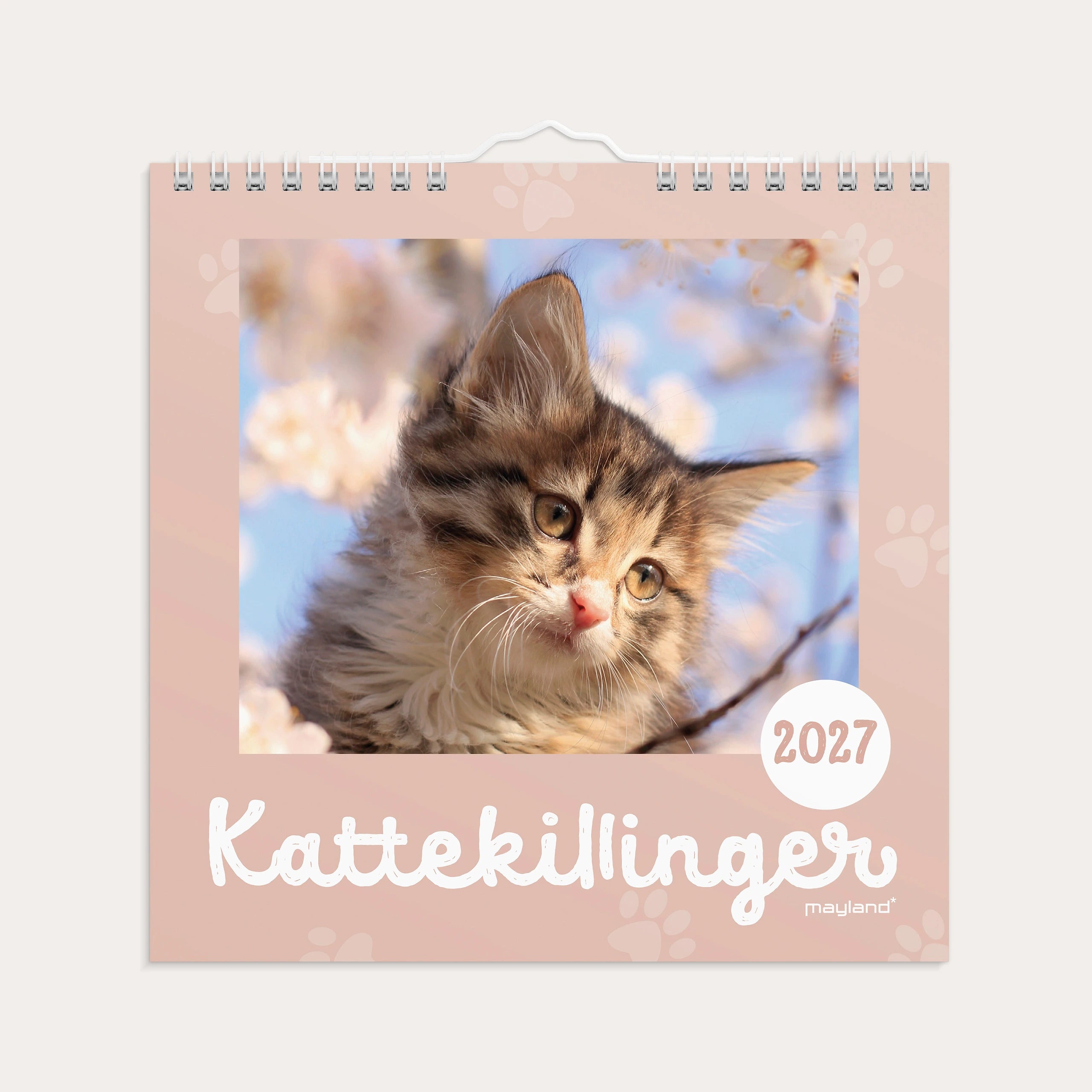 Vægkalender mini Kattekillinger 2027