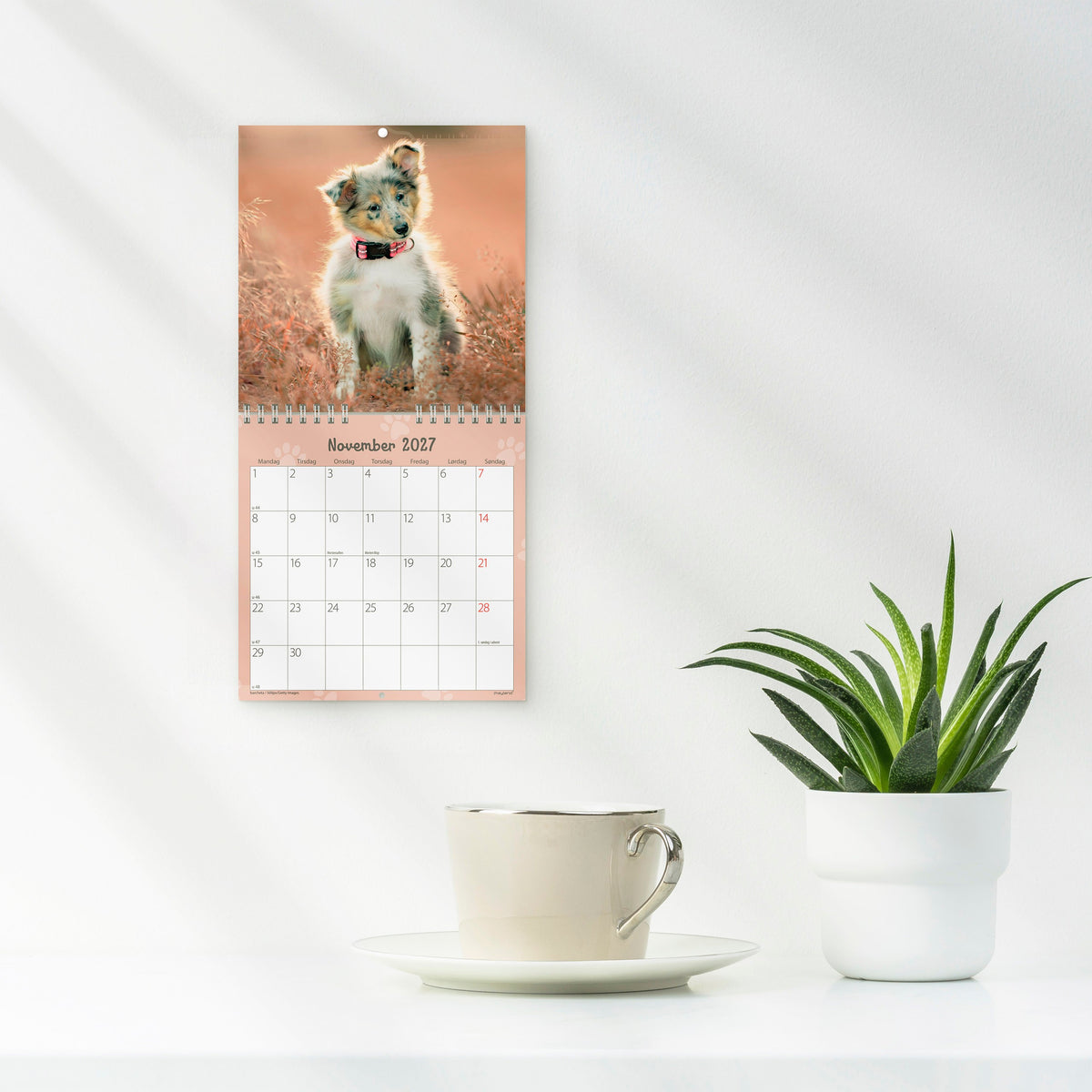 Vægkalender mini Hundehvalpe 2027