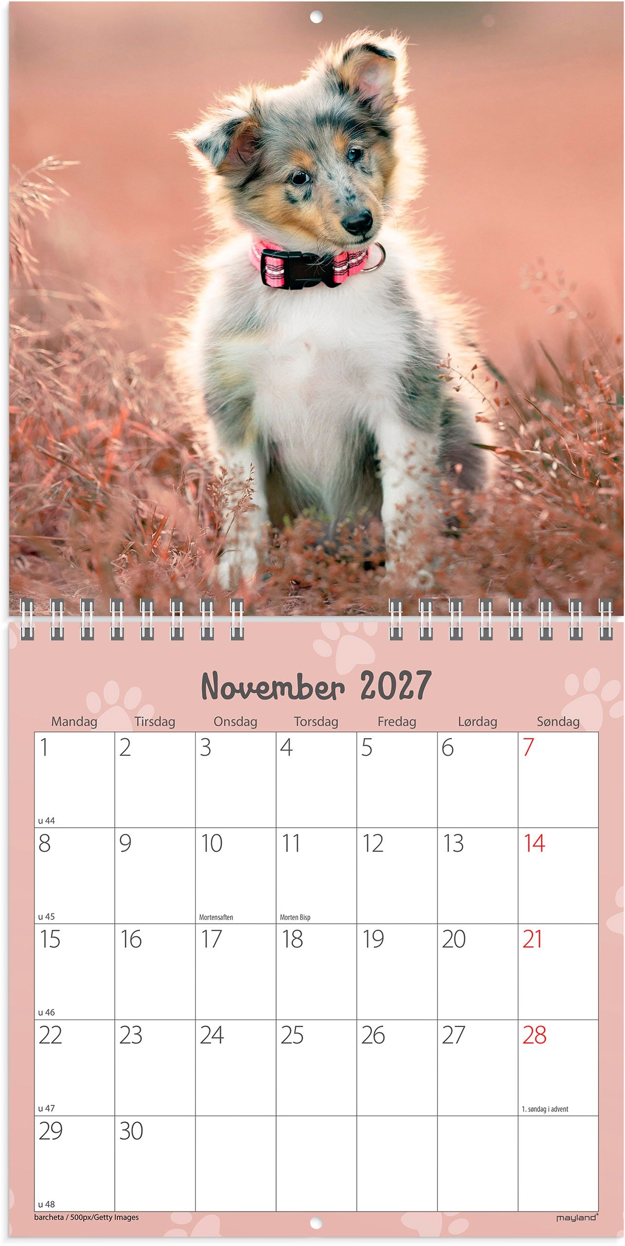 Vægkalender mini Hundehvalpe 2027