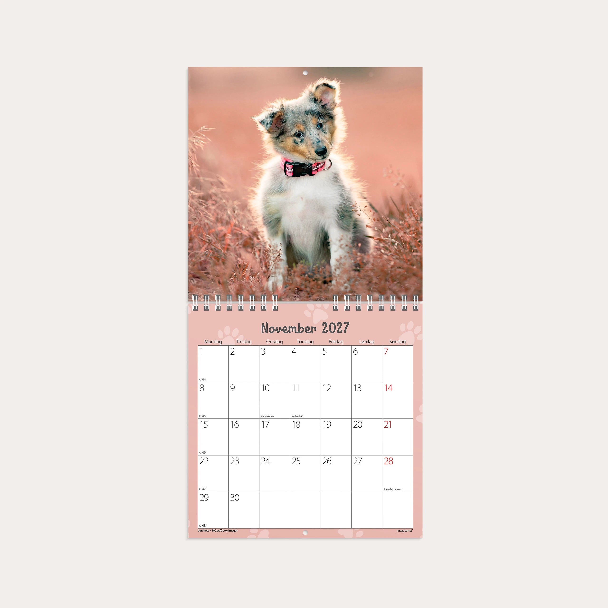 Vægkalender mini Hundehvalpe 2027