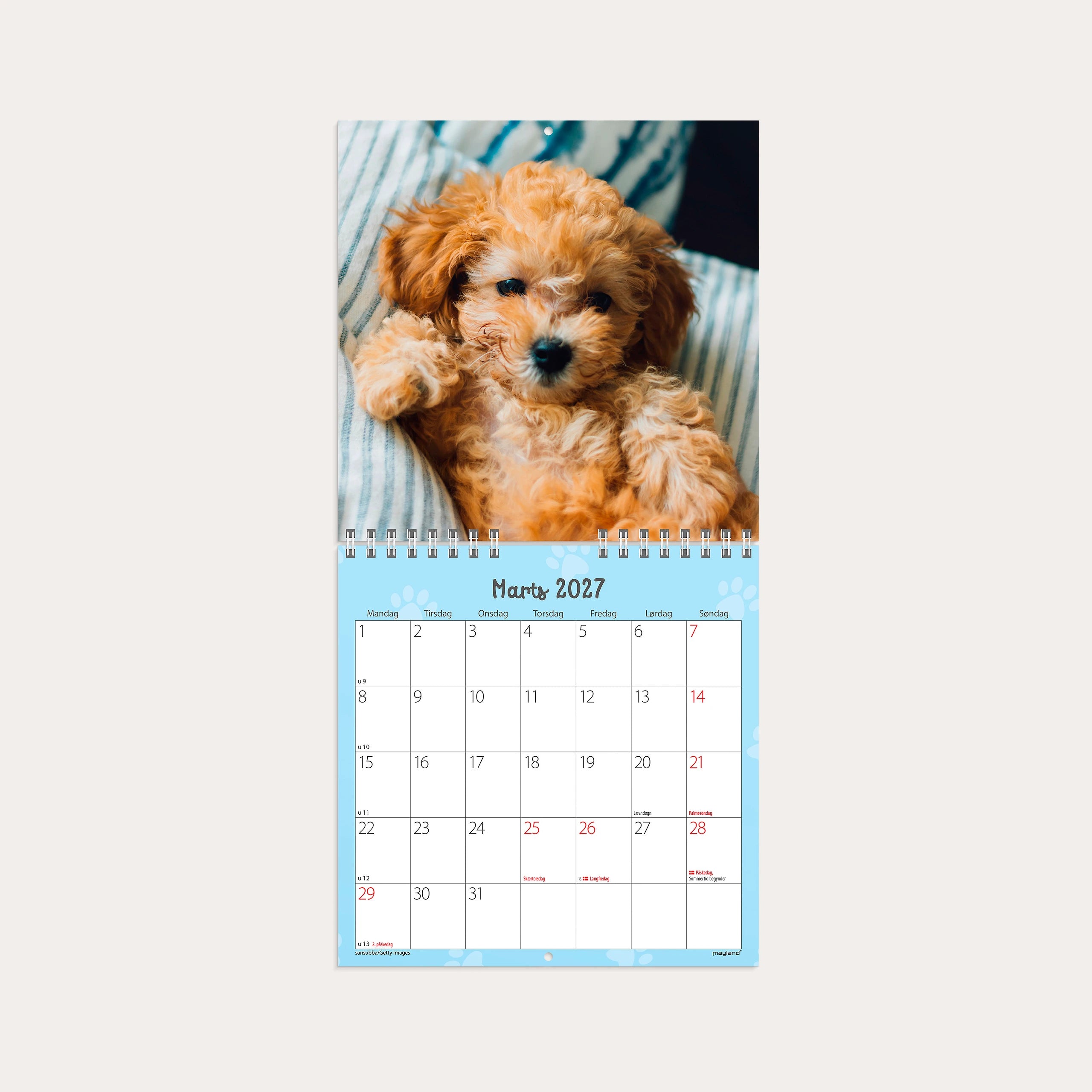 Vægkalender mini Hundehvalpe 2027